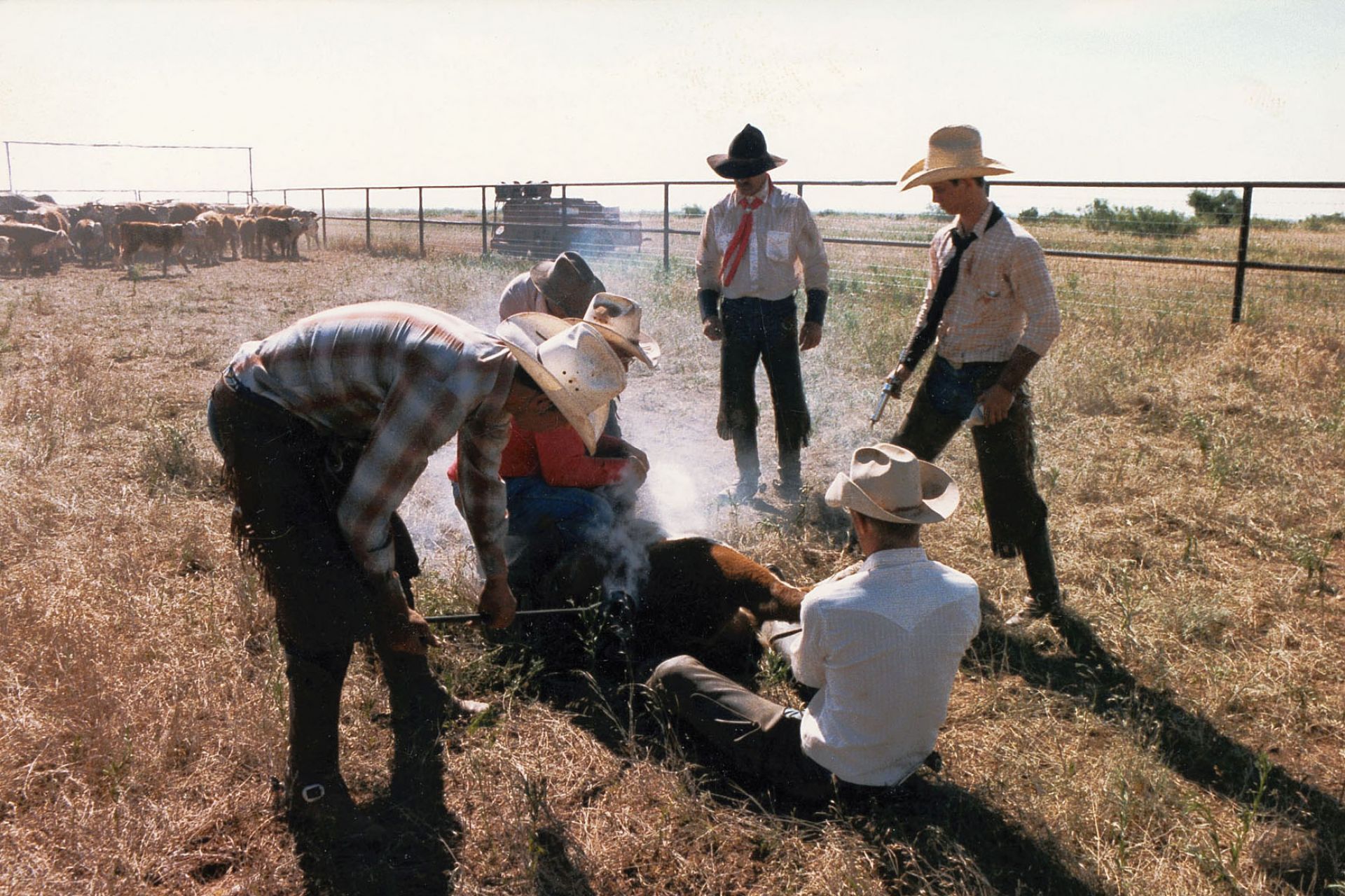W.T. Waggoner Estate Ranch archival photograph 5