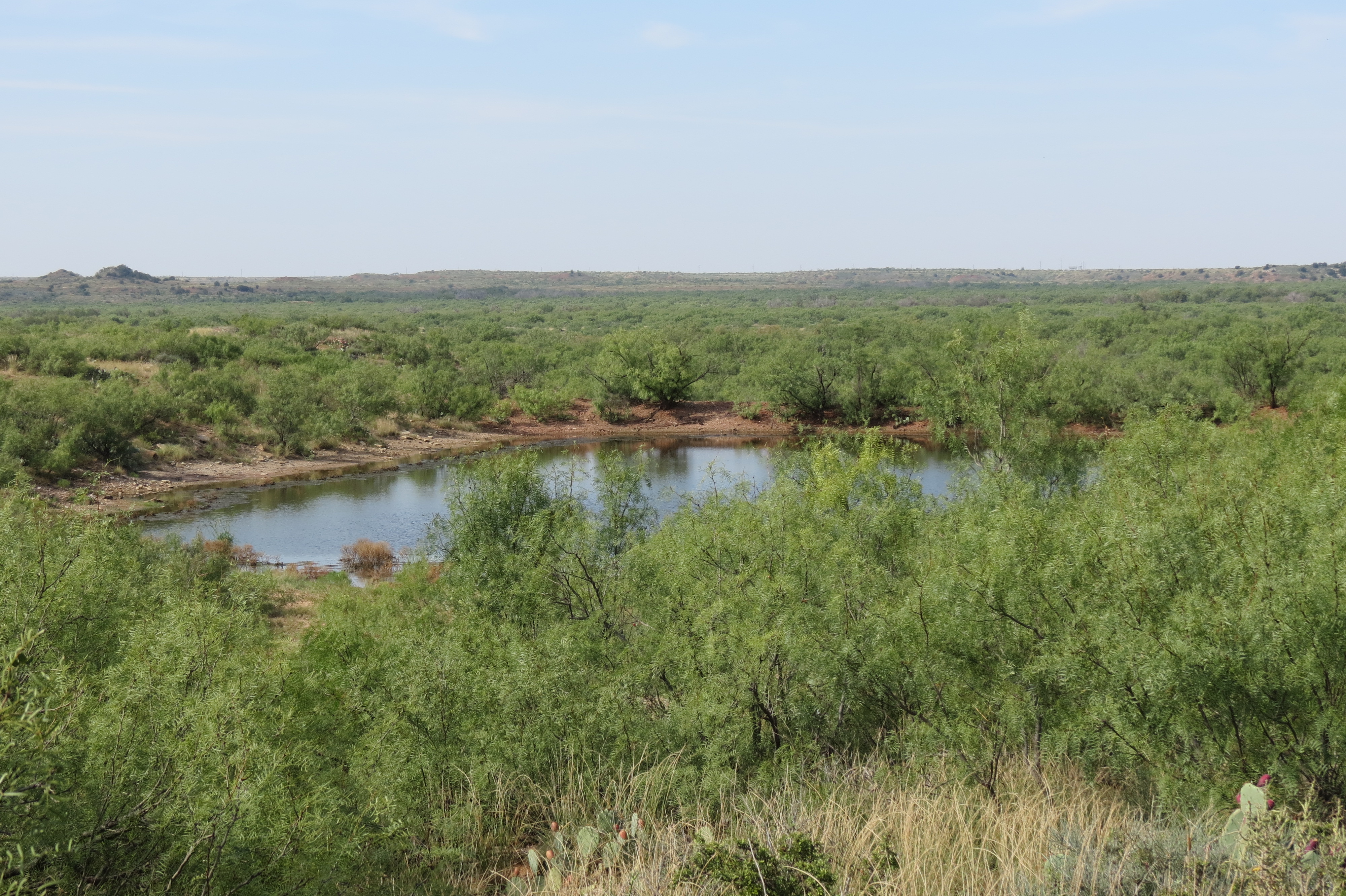 W.T. Waggoner Estate Ranch archival photograph 14