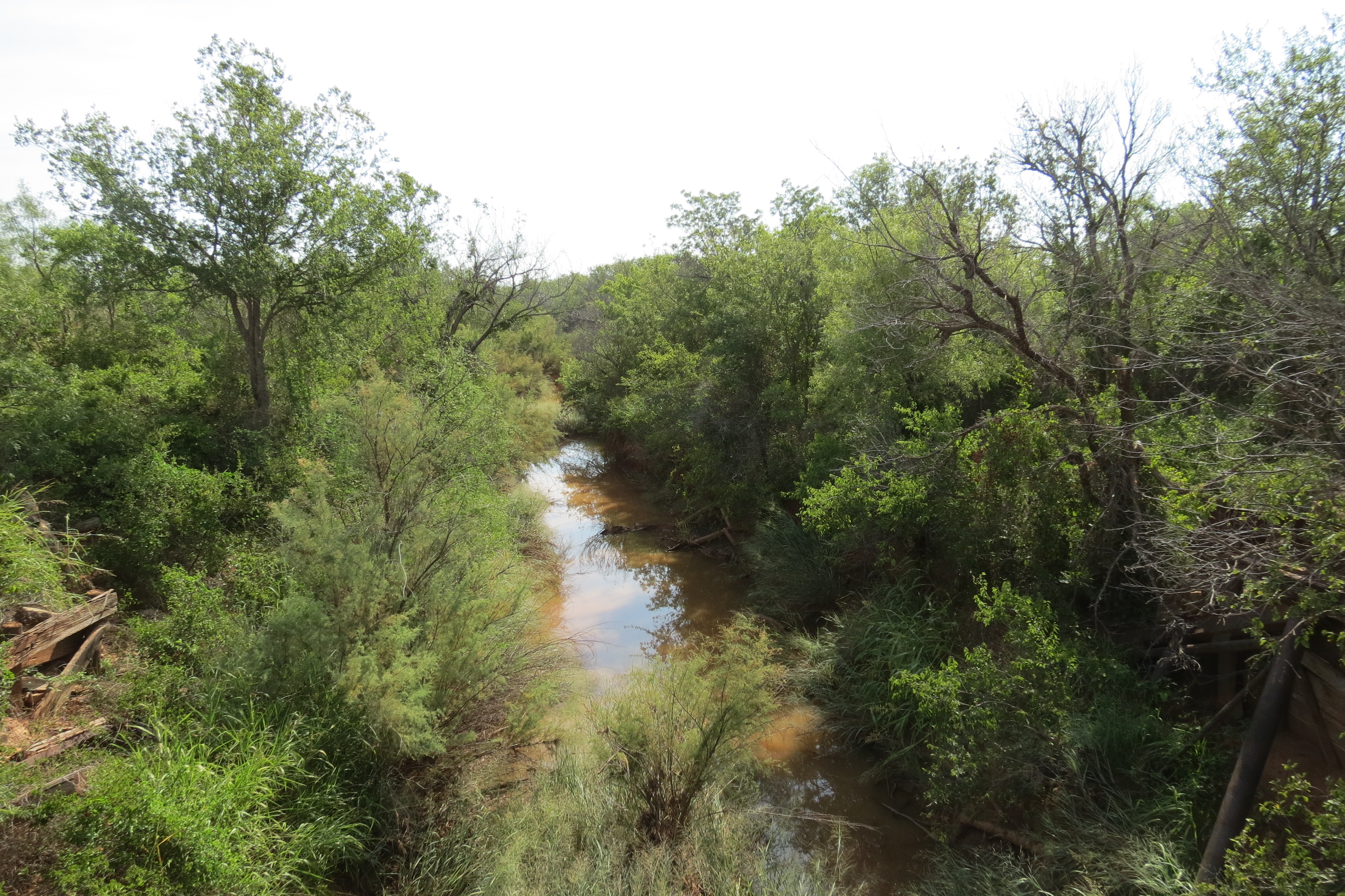 W.T. Waggoner Estate Ranch archival photograph 15