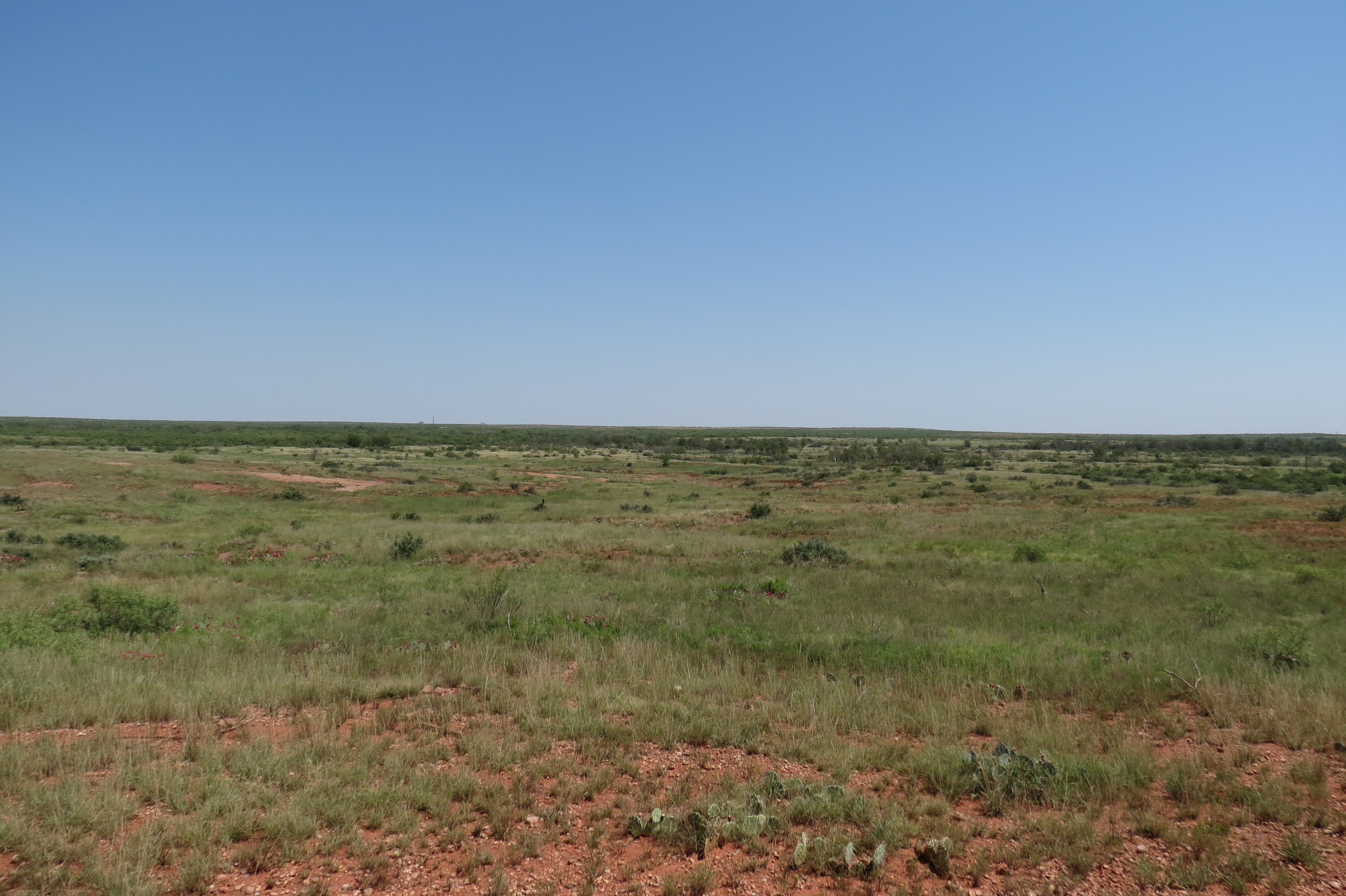 W.T. Waggoner Estate Ranch archival photograph 21