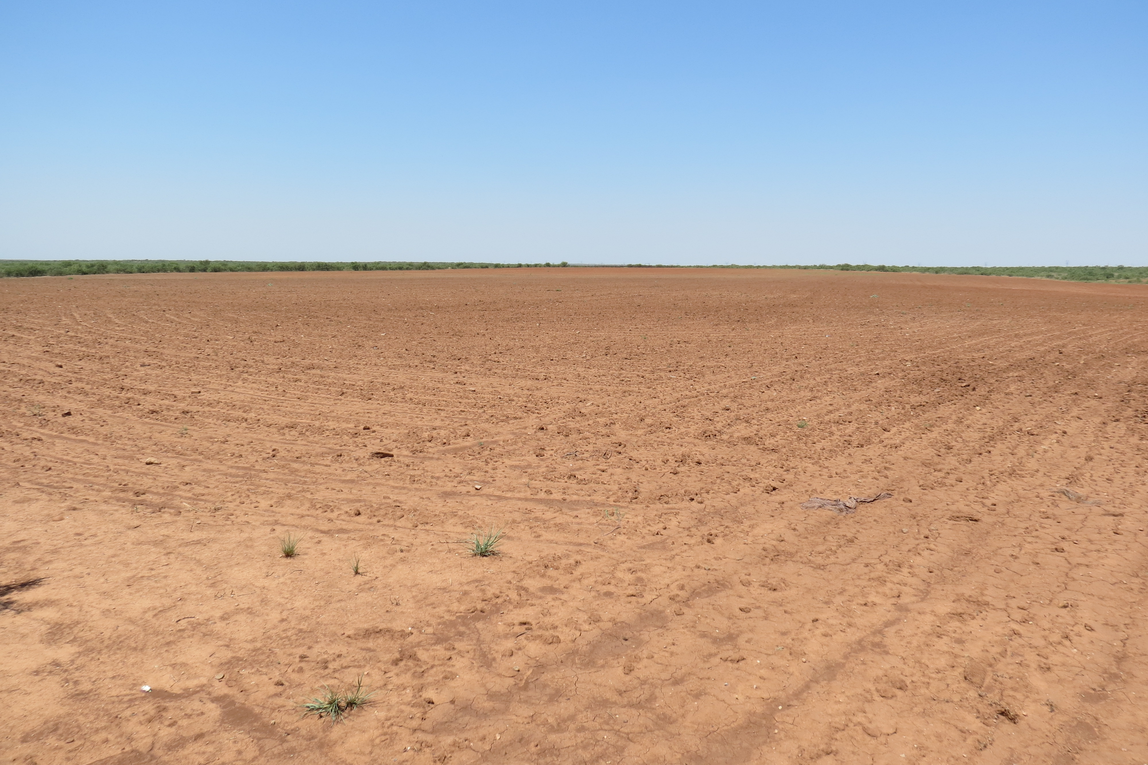 W.T. Waggoner Estate Ranch archival photograph 22