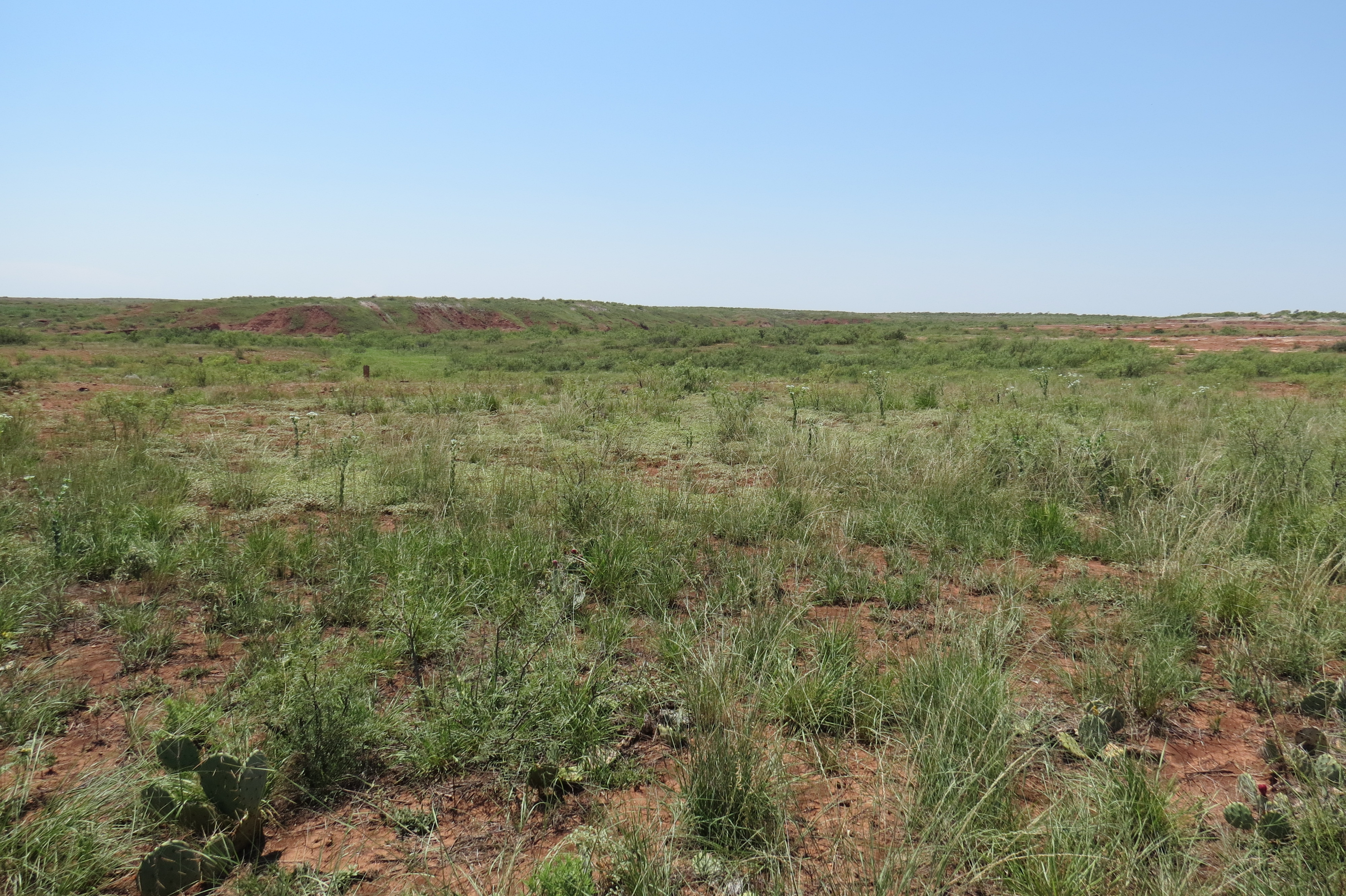 W.T. Waggoner Estate Ranch archival photograph 23