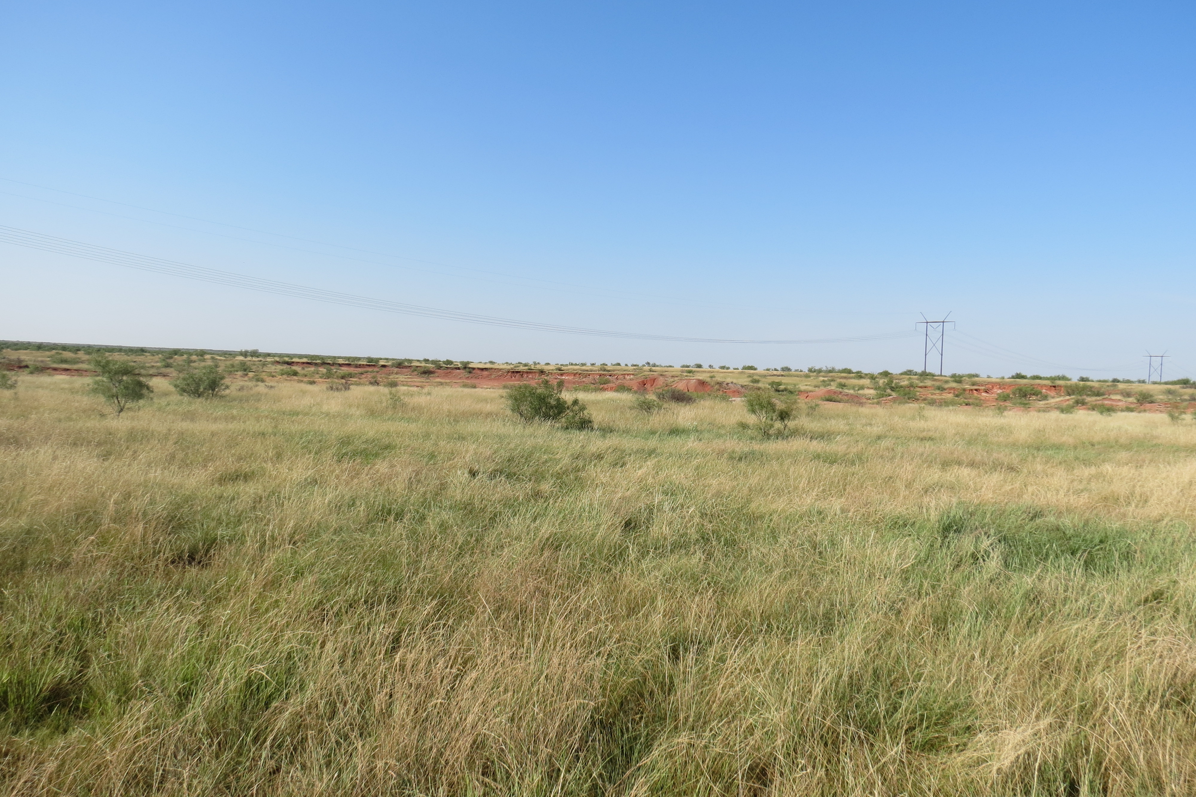 W.T. Waggoner Estate Ranch archival photograph 30