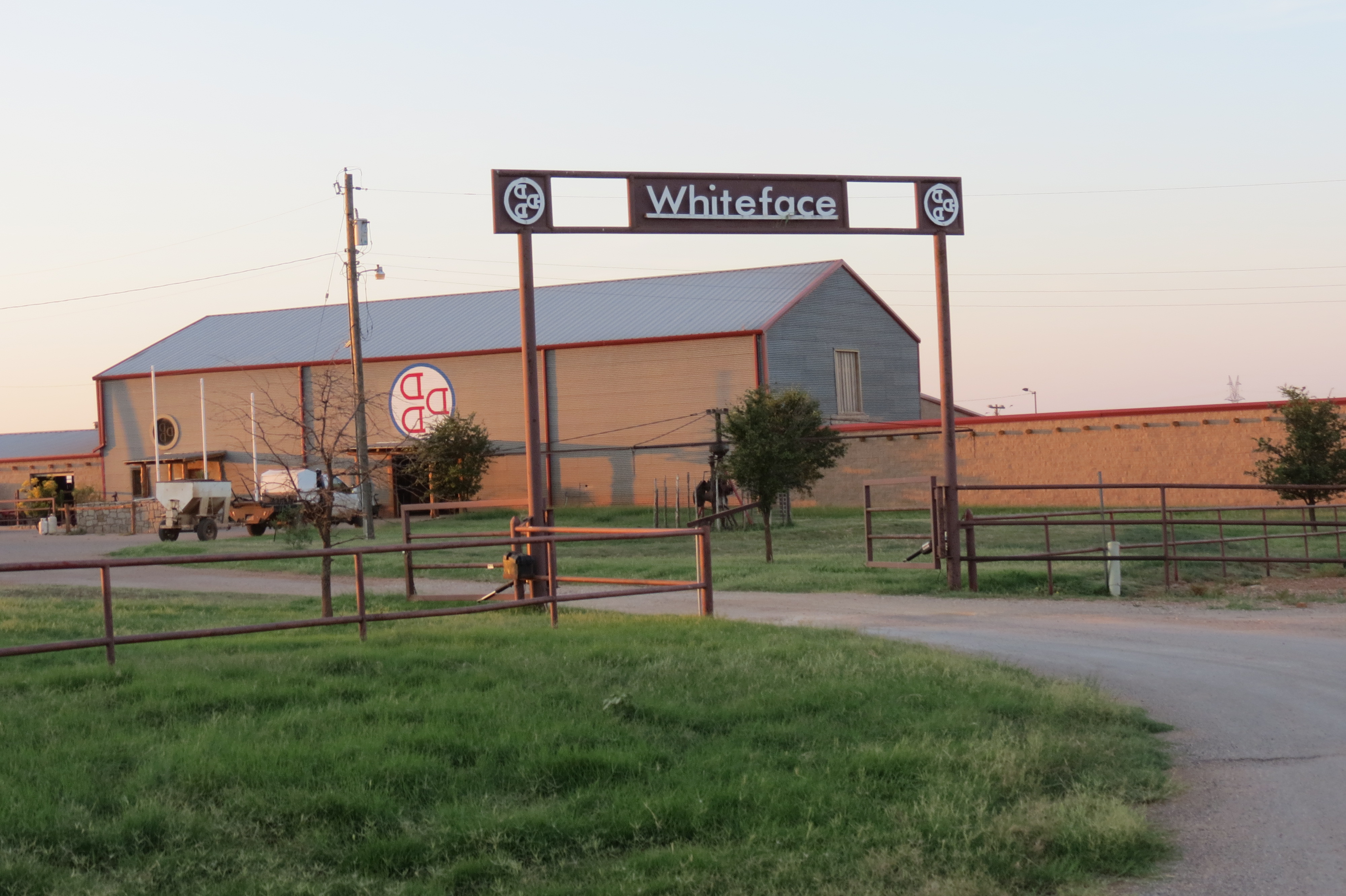 W.T. Waggoner Estate Ranch archival photograph 45
