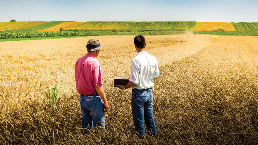 Middleton & Son Land Appraisal Services