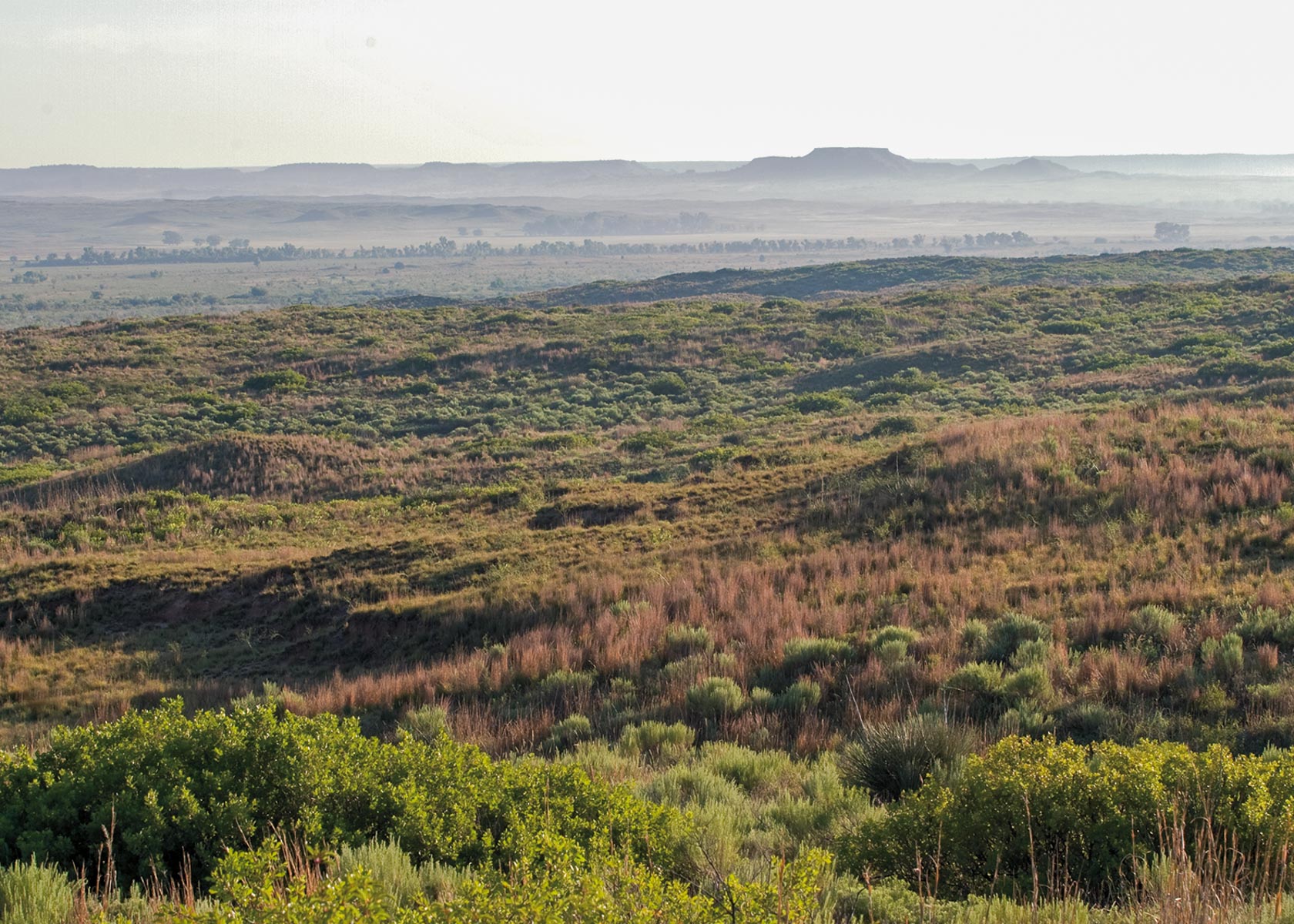 Boone Pickens' Mesa Vista Ranch archival photograph 56