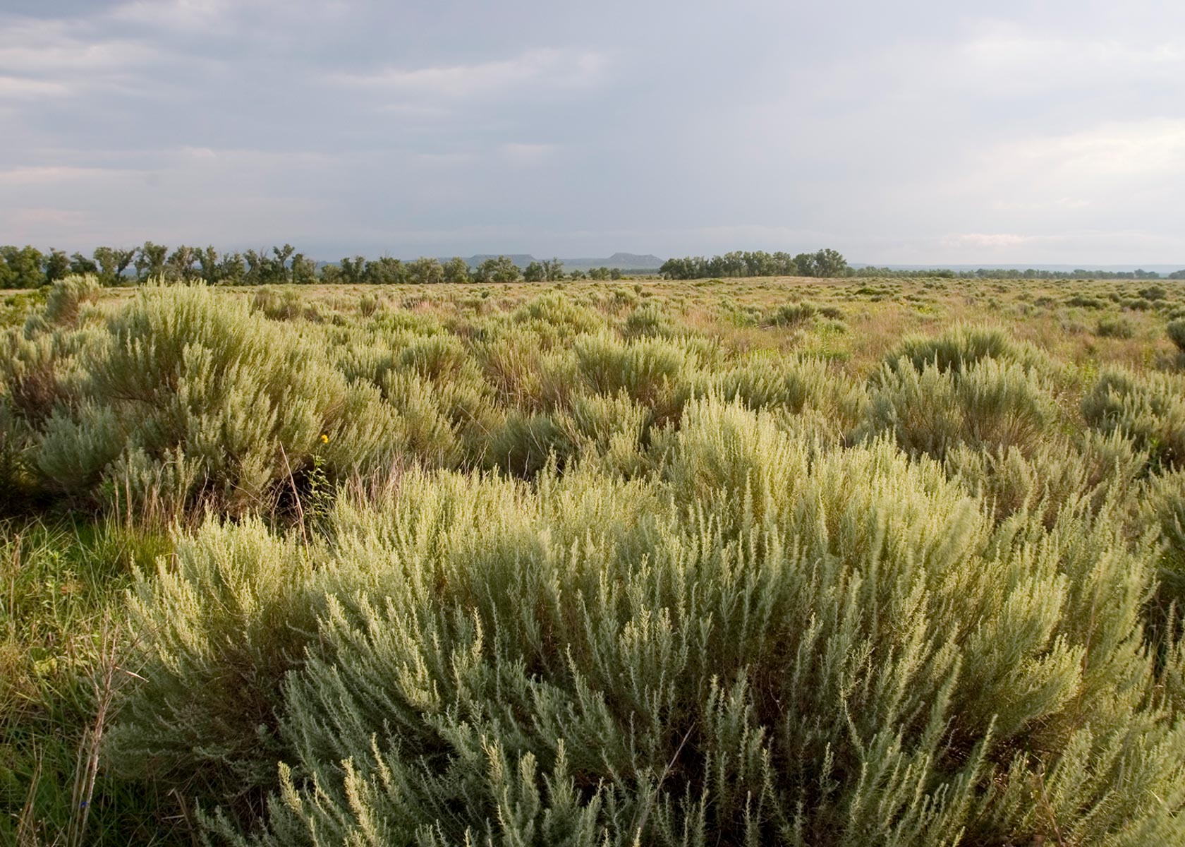Boone Pickens' Mesa Vista Ranch archival photograph 57