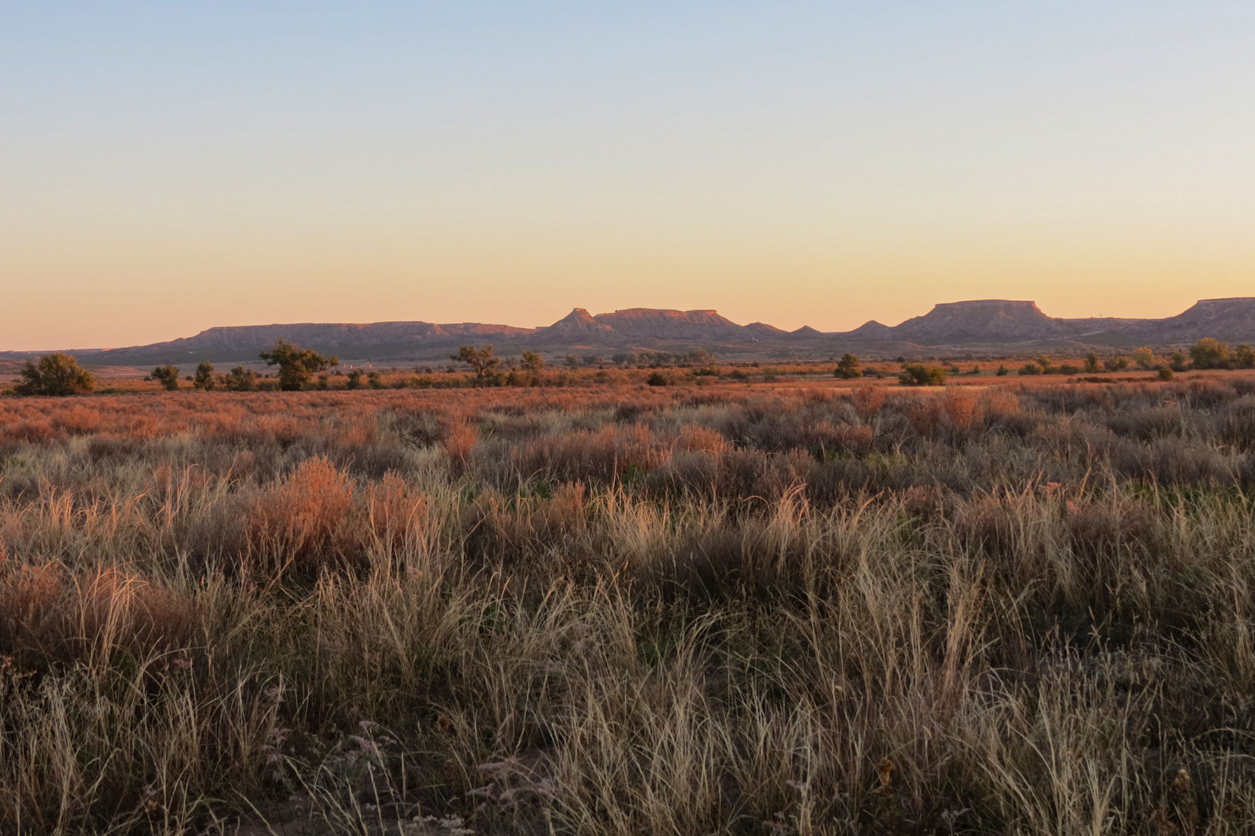 Boone Pickens' Mesa Vista Ranch archival photograph 58