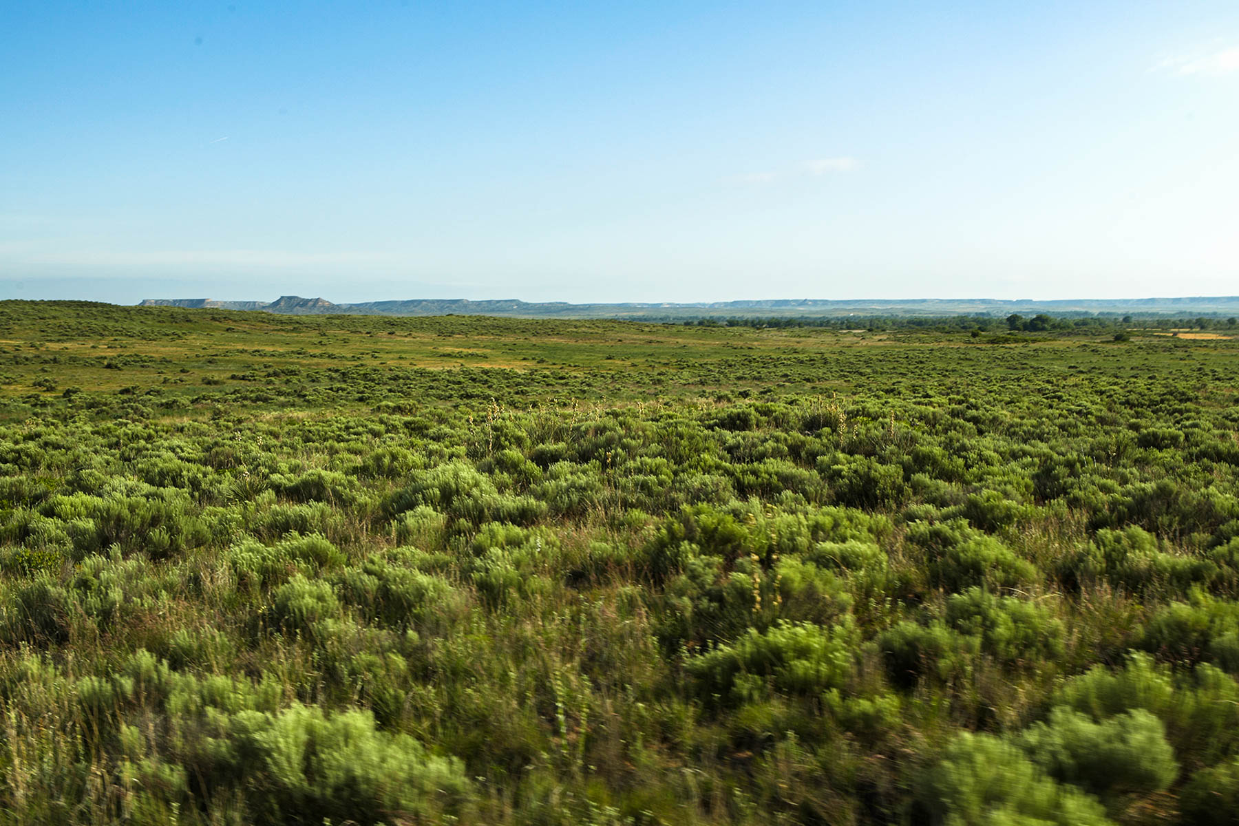 Boone Pickens' Mesa Vista Ranch archival photograph 64