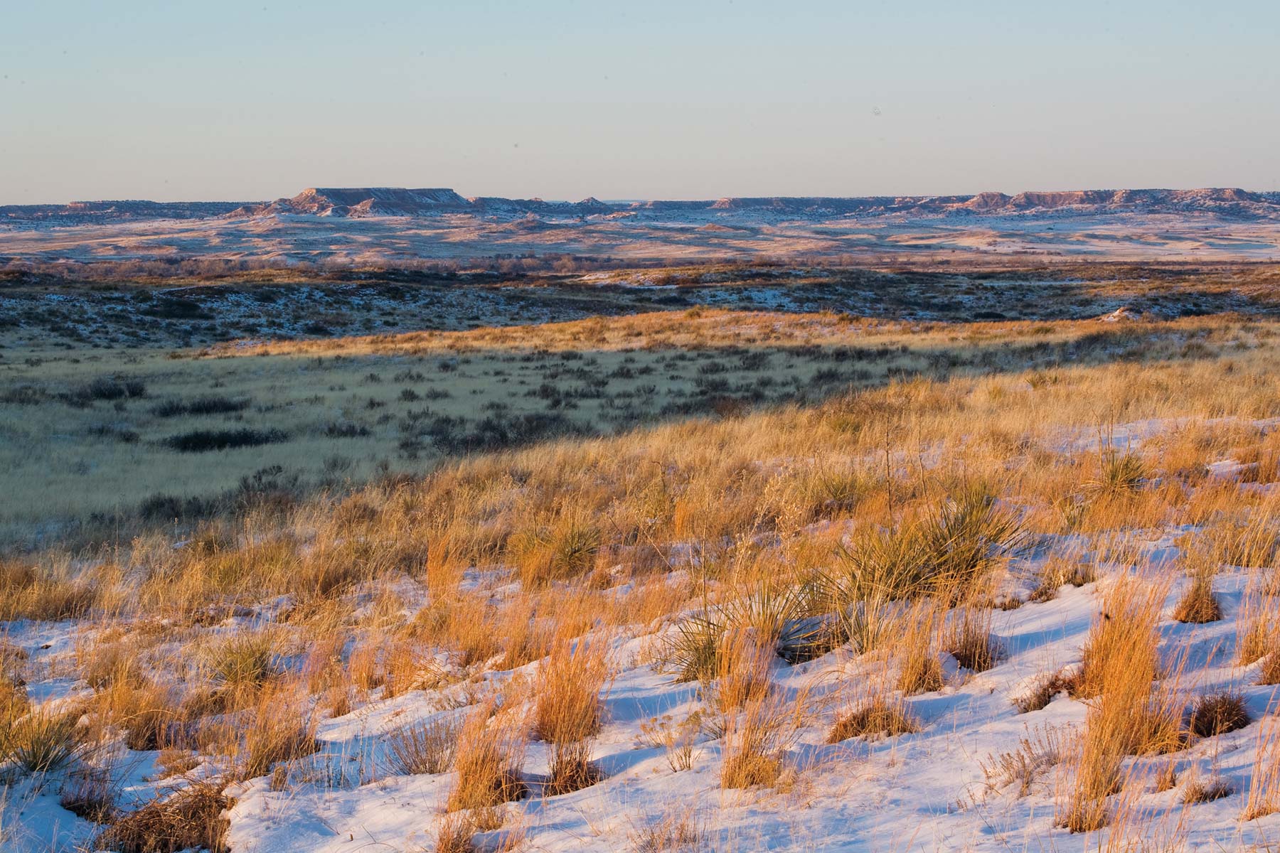 Boone Pickens' Mesa Vista Ranch archival photograph 47
