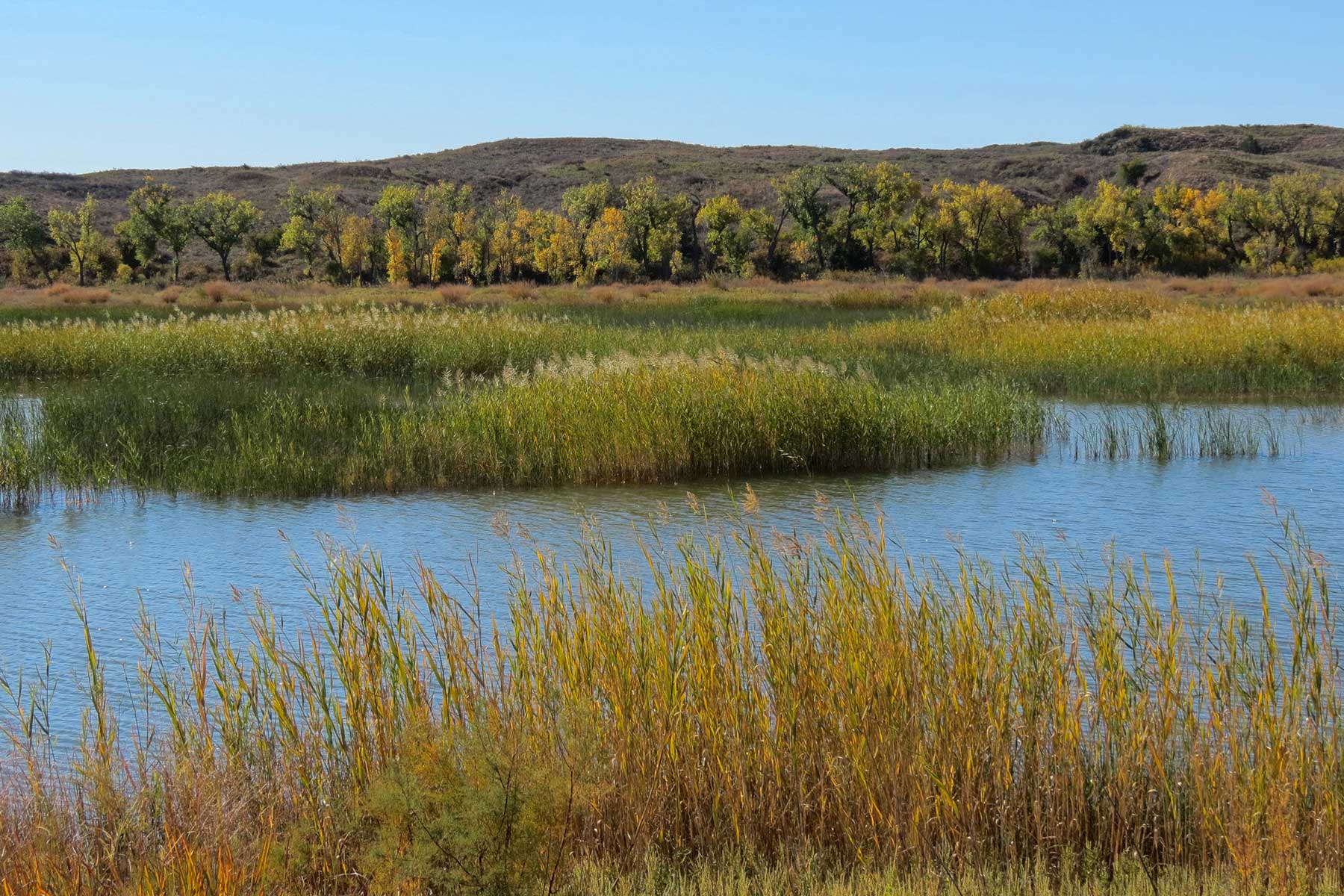 Boone Pickens' Mesa Vista Ranch archival photograph 41