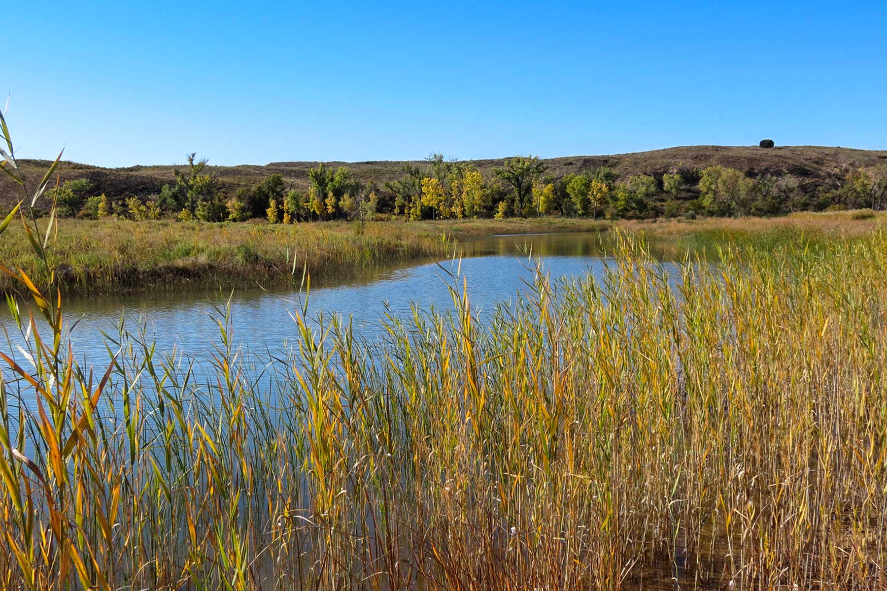 Boone Pickens' Mesa Vista Ranch archival photograph 43