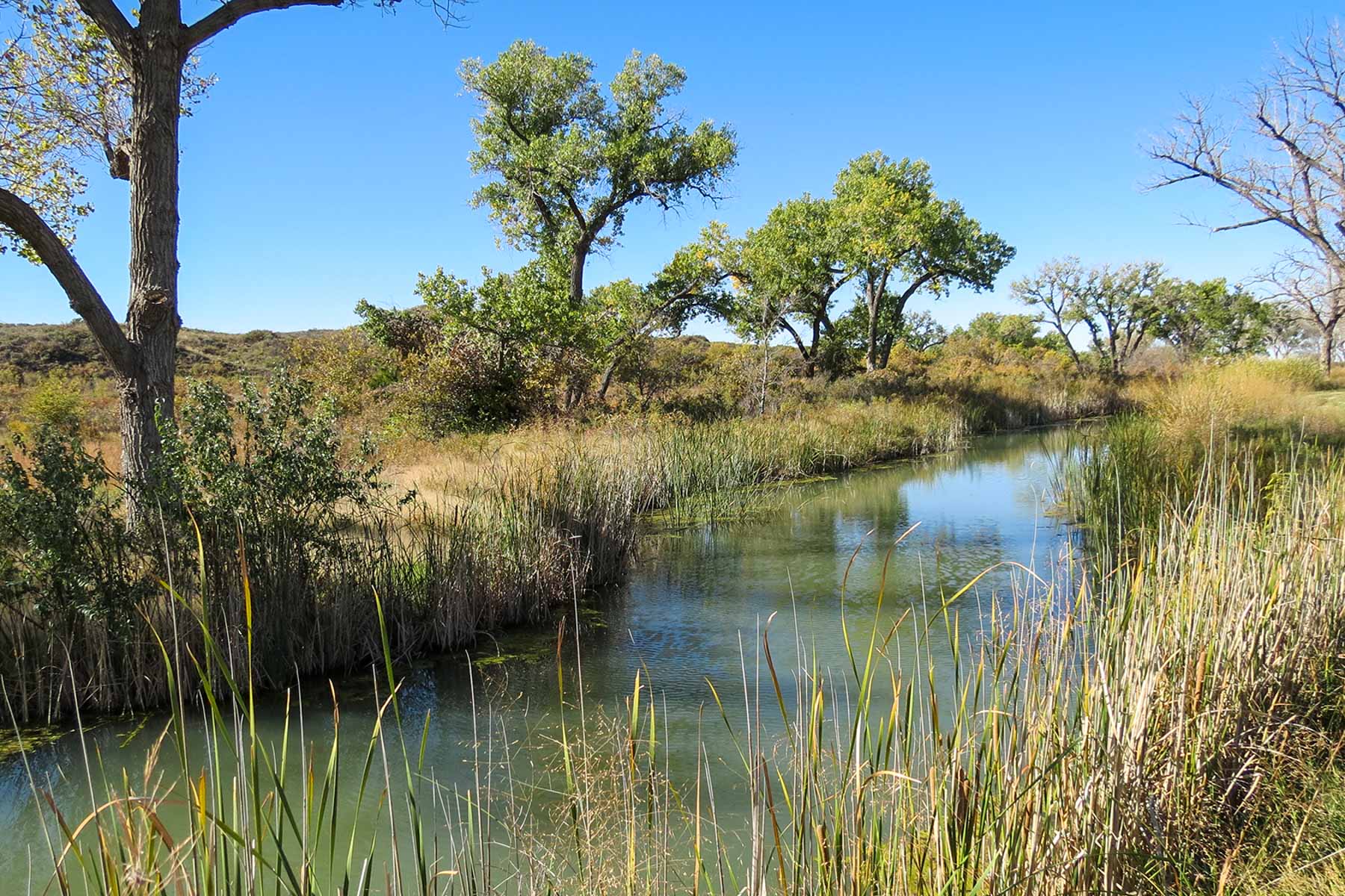 Boone Pickens' Mesa Vista Ranch archival photograph 45