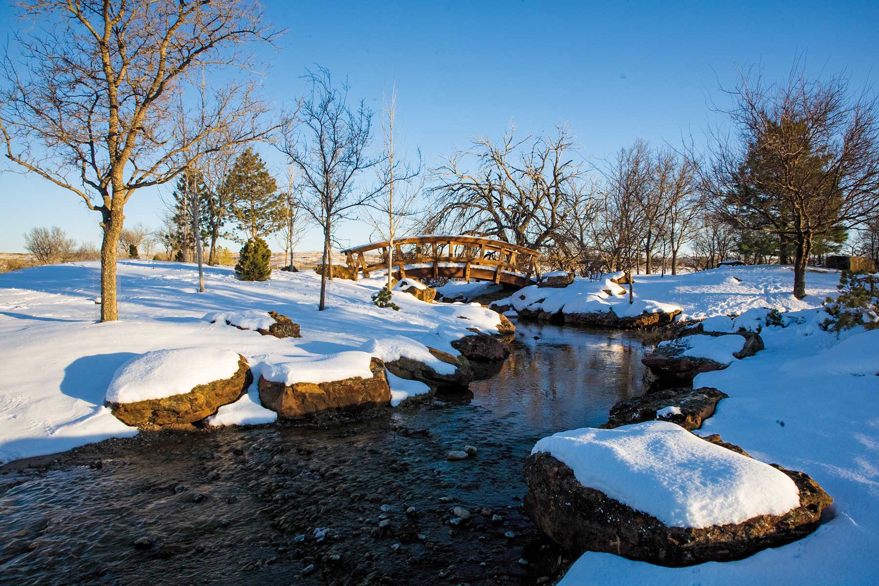 Boone Pickens' Mesa Vista Ranch archival photograph 33