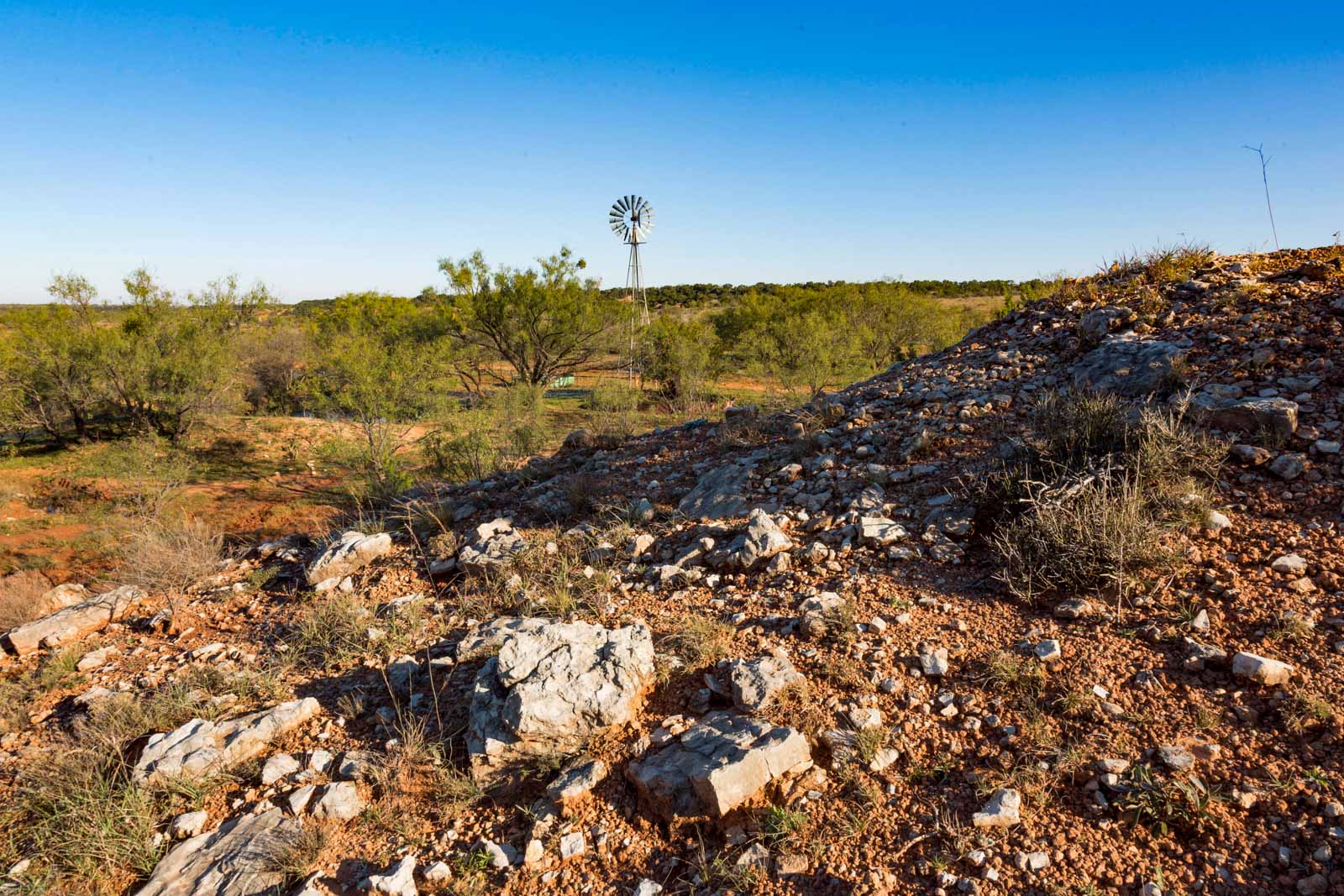 Swenson Family Flat Top Ranch archival photograph 7