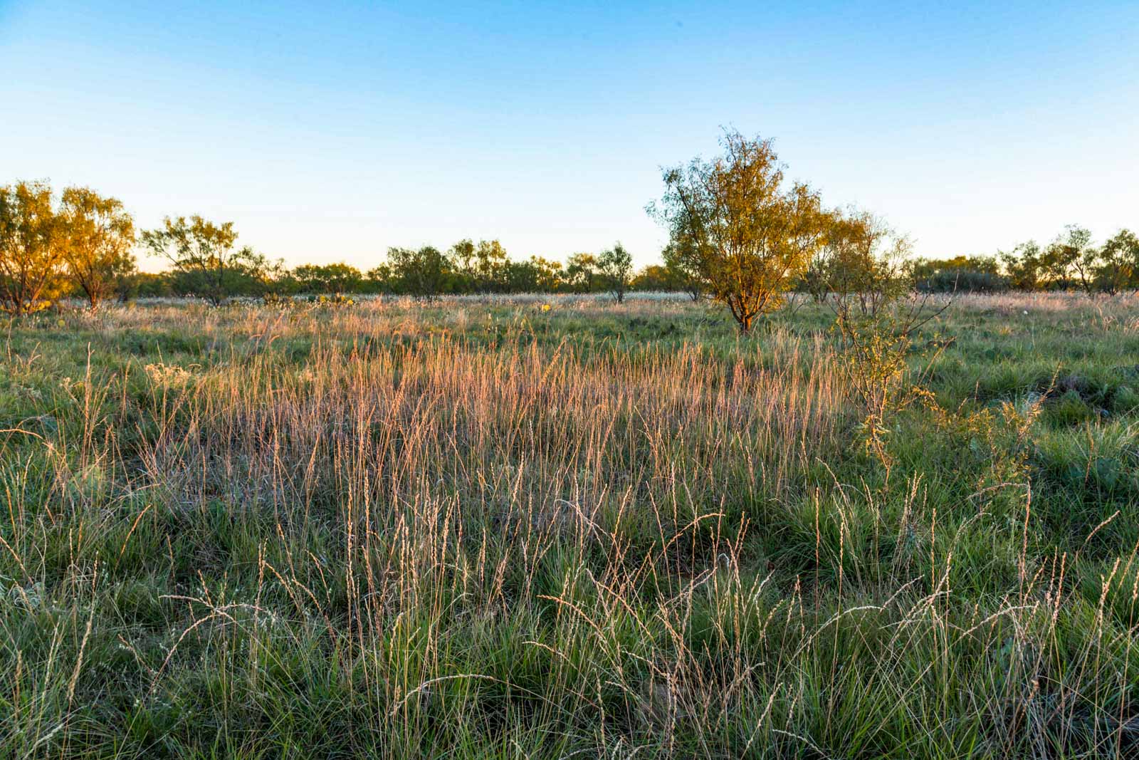 Swenson Family Flat Top Ranch archival photograph 15
