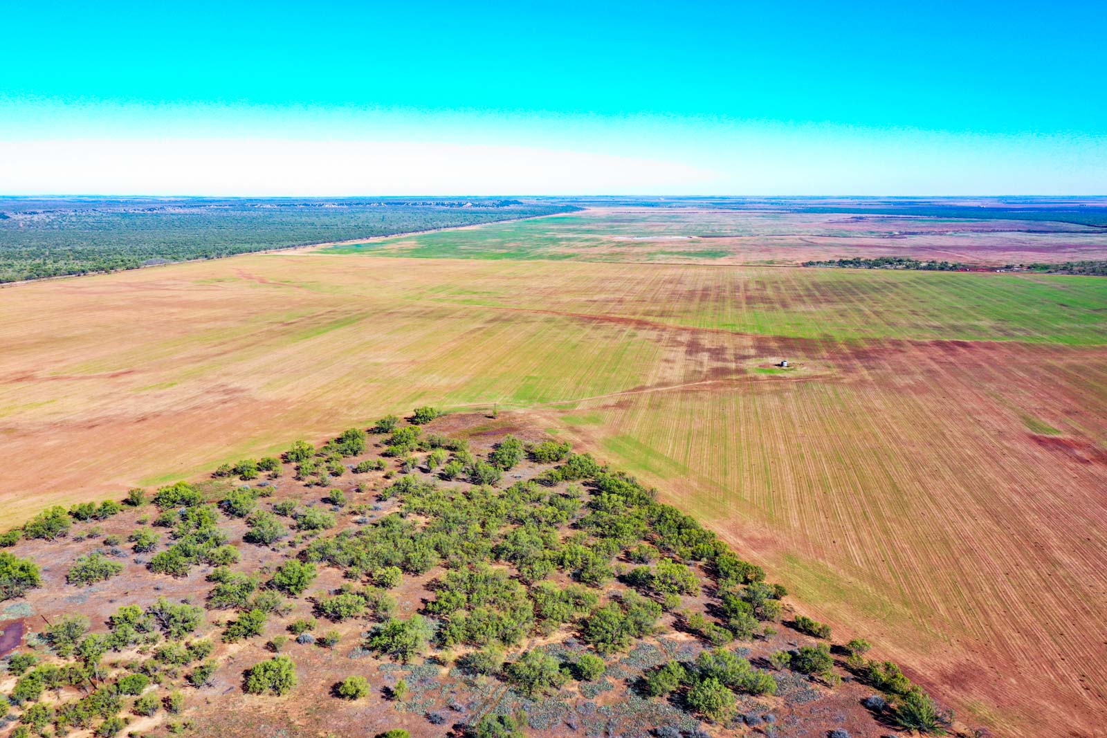 Swenson Family Flat Top Ranch archival photograph 26