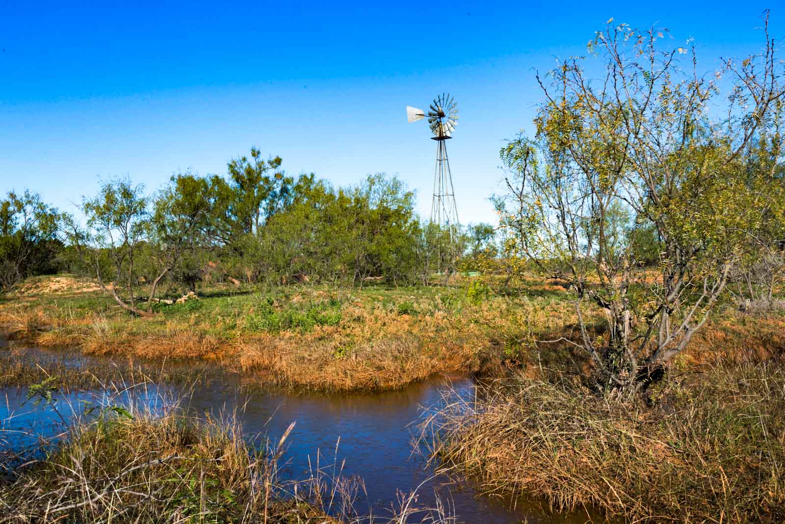 Swenson Family Flat Top Ranch archival photograph 30
