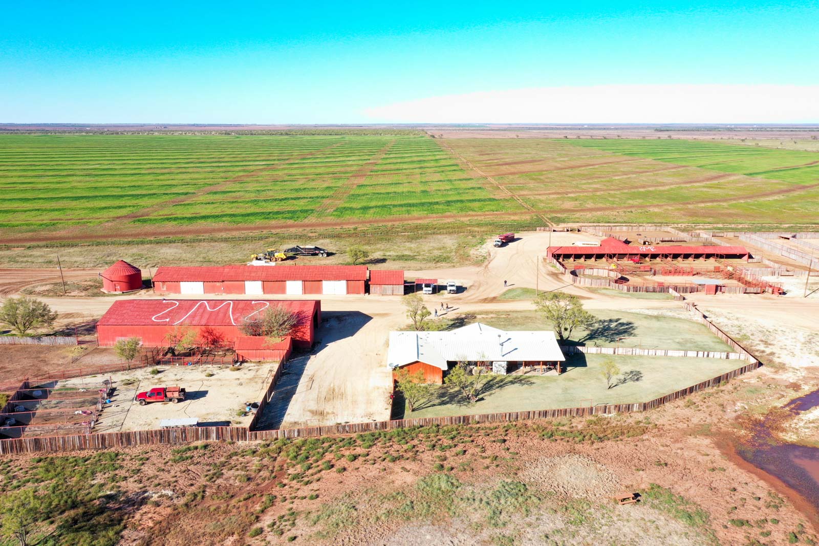 Swenson Family Flat Top Ranch archival photograph 43