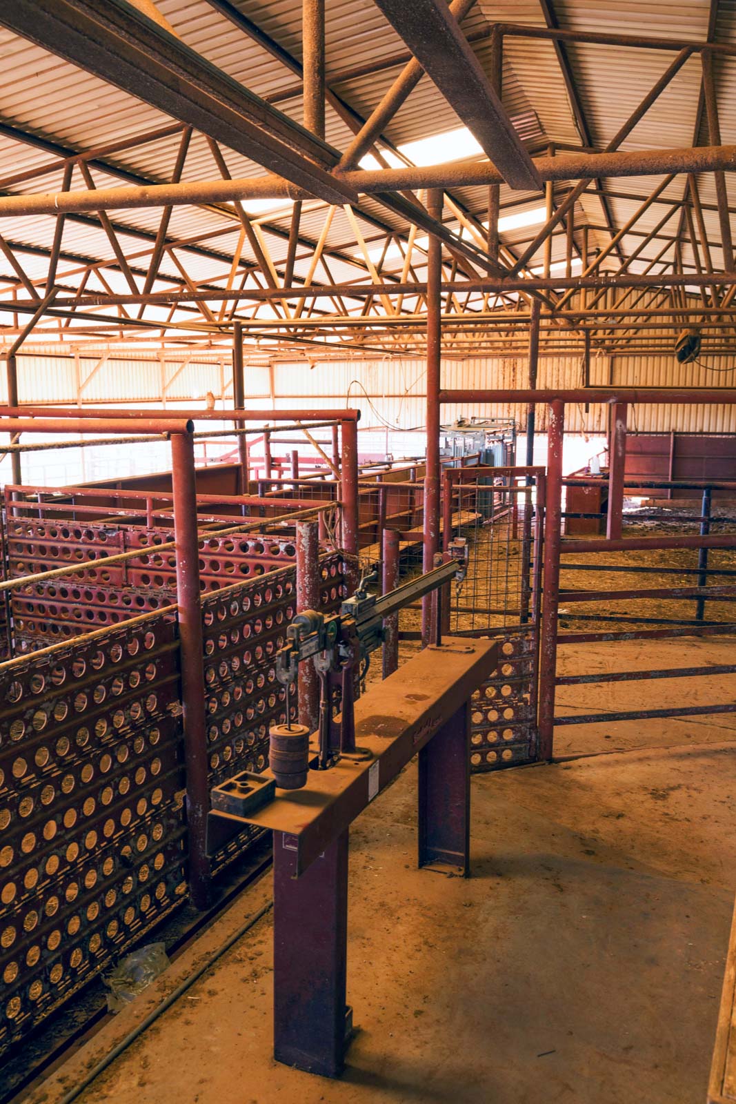 Swenson Family Flat Top Ranch archival photograph 53