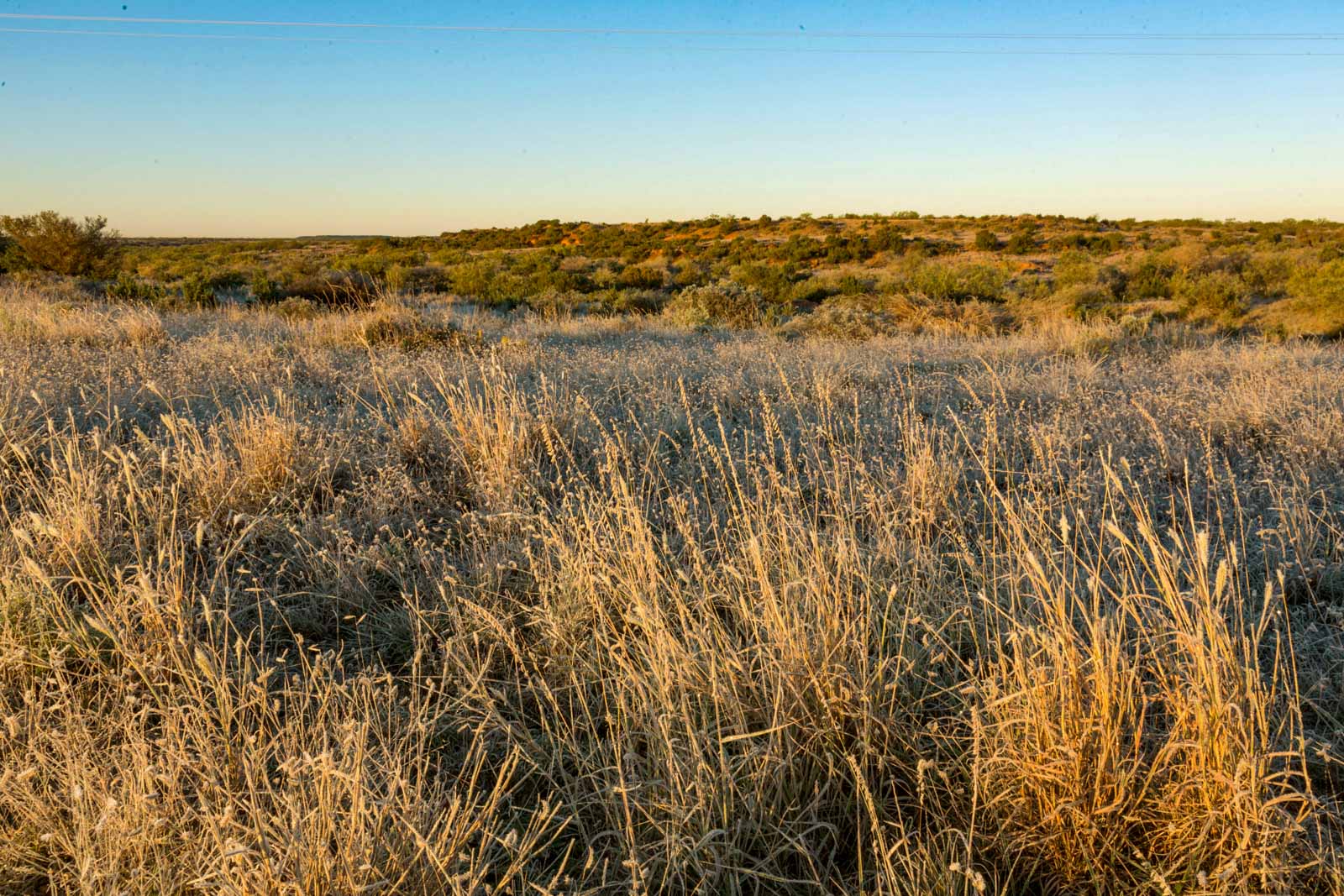 Swenson Family Flat Top Ranch archival photograph 16