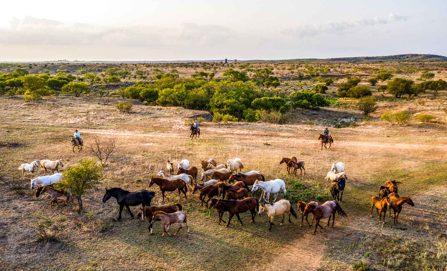 Matador Ranch archival photograph 35