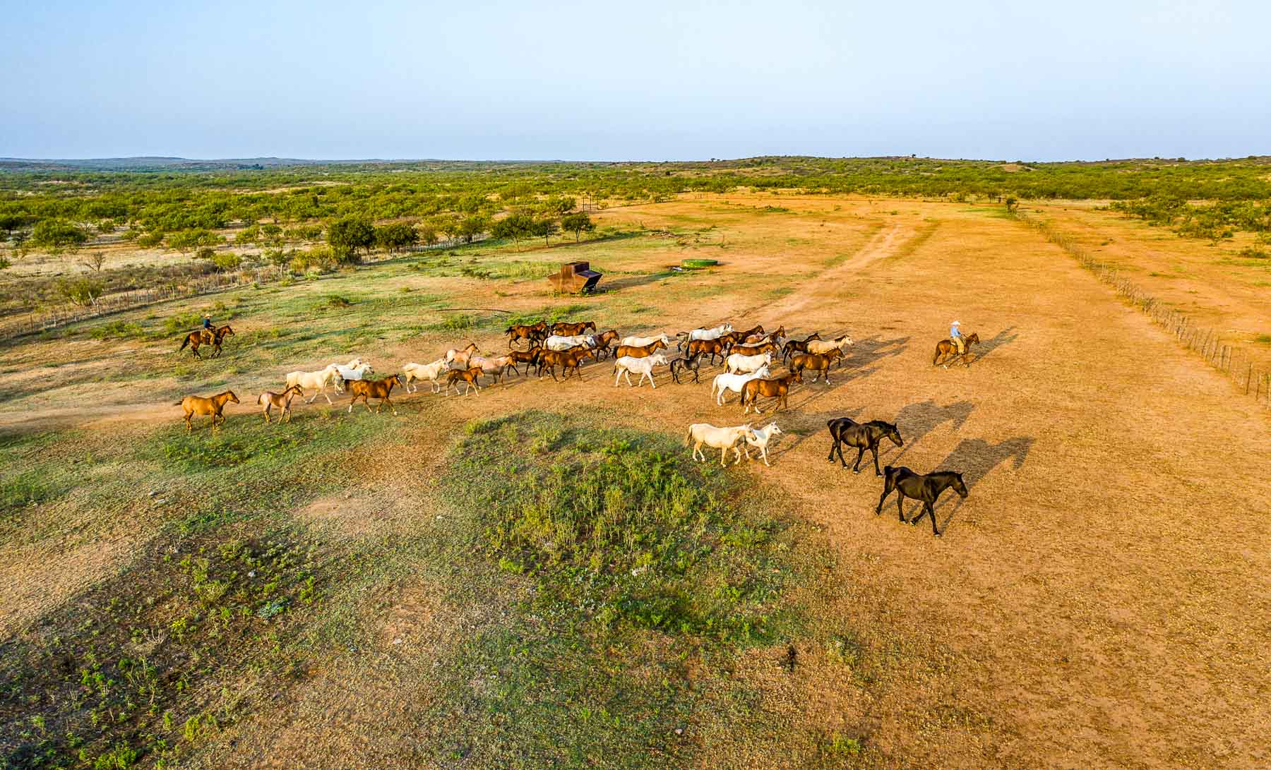 Matador Ranch archival photograph 36