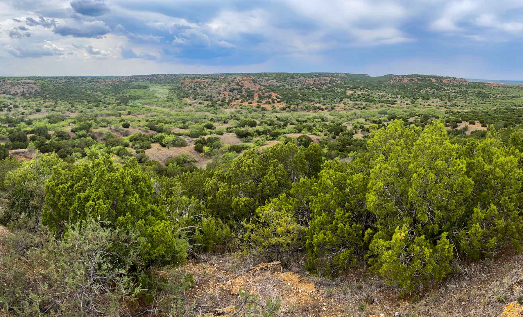 Matador Ranch archival photograph