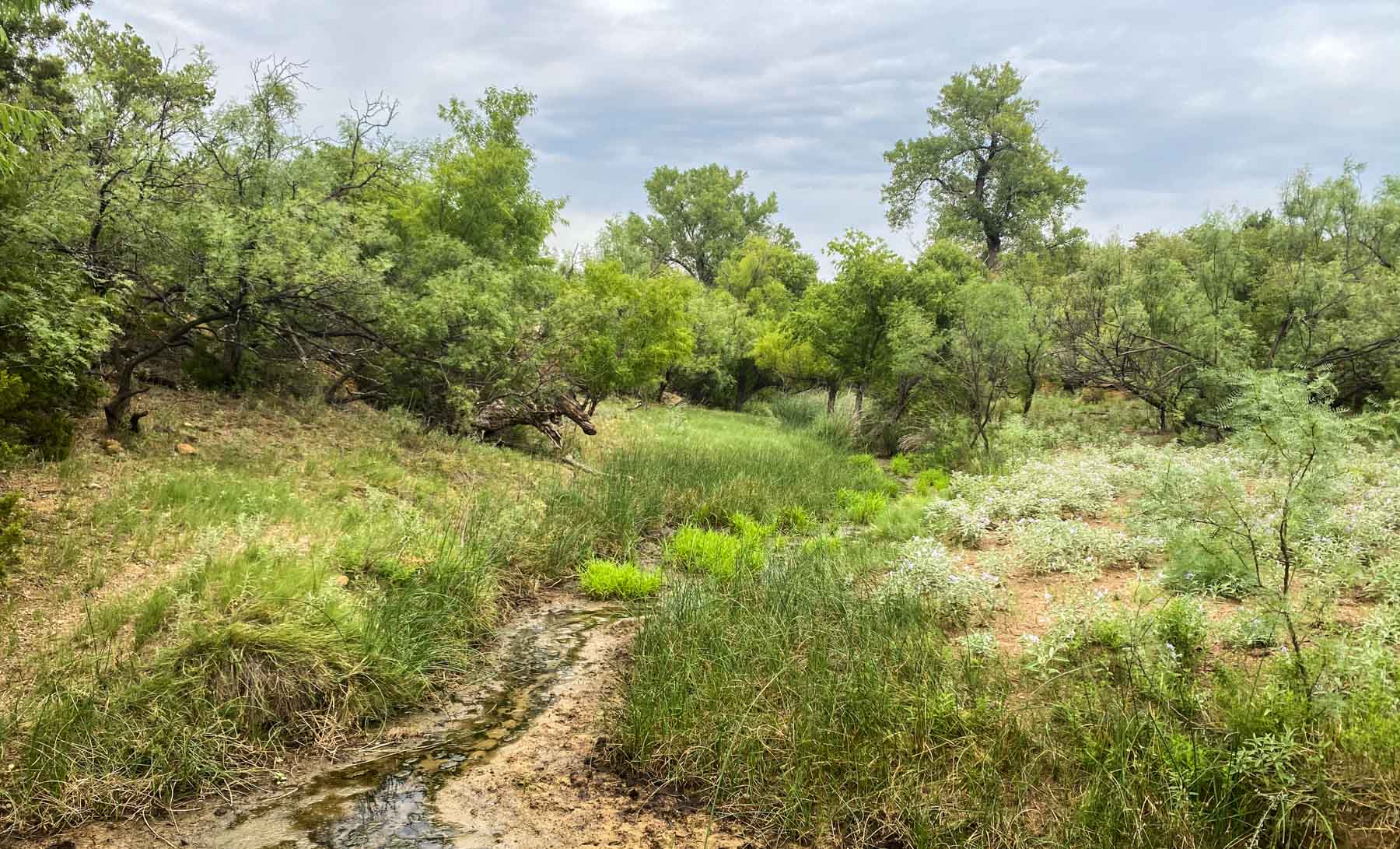 Matador Ranch archival photograph