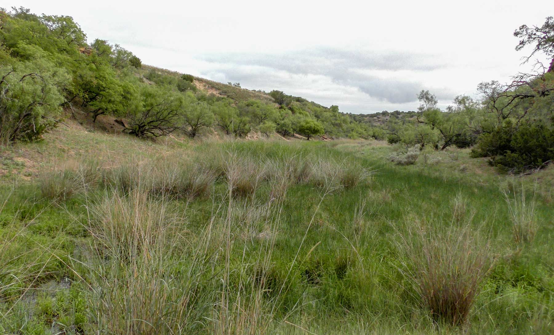 Matador Ranch archival photograph 14