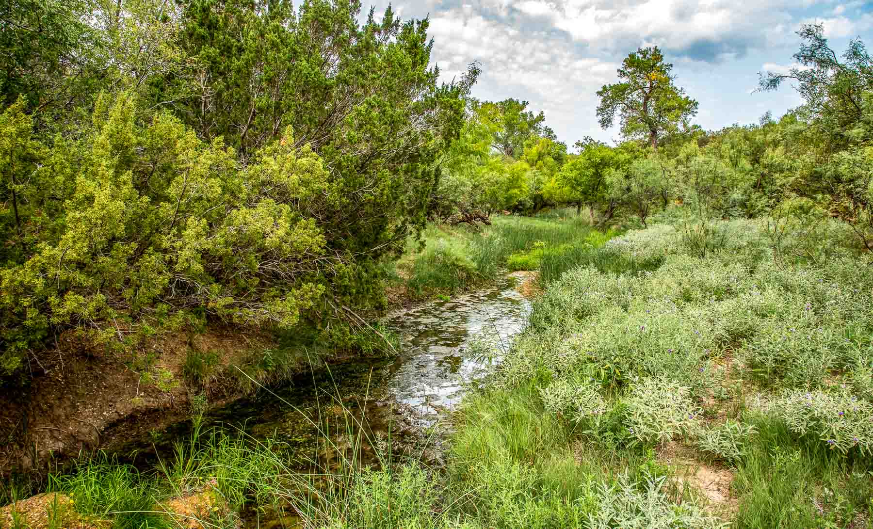Matador Ranch archival photograph 6