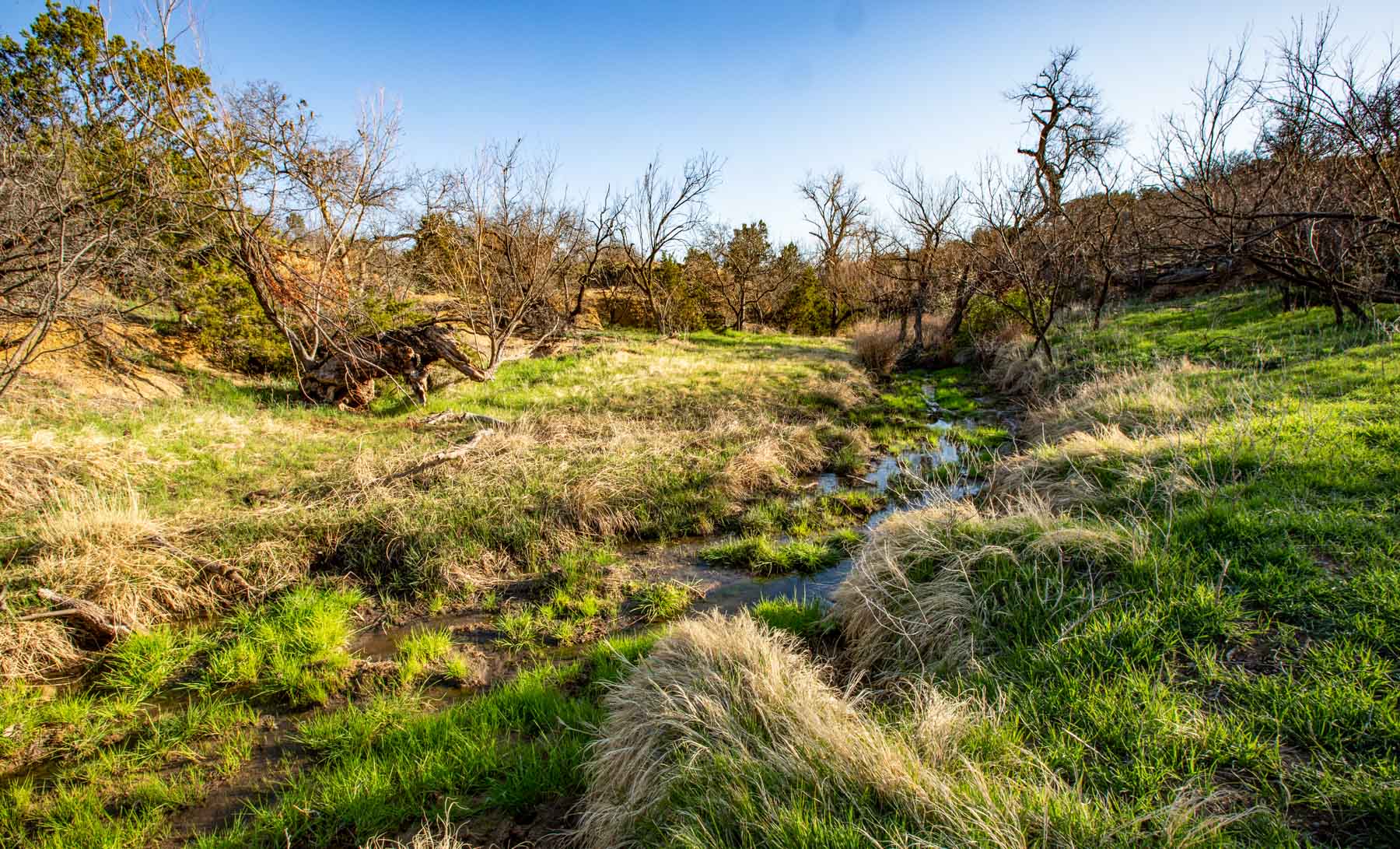 Matador Ranch archival photograph 10