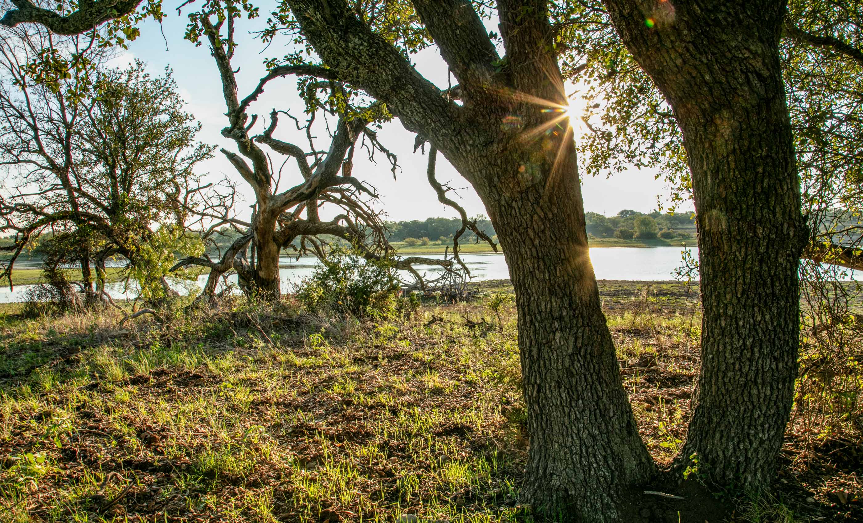 Silverbrook-Pecan Bayou Ranch archival photograph 42