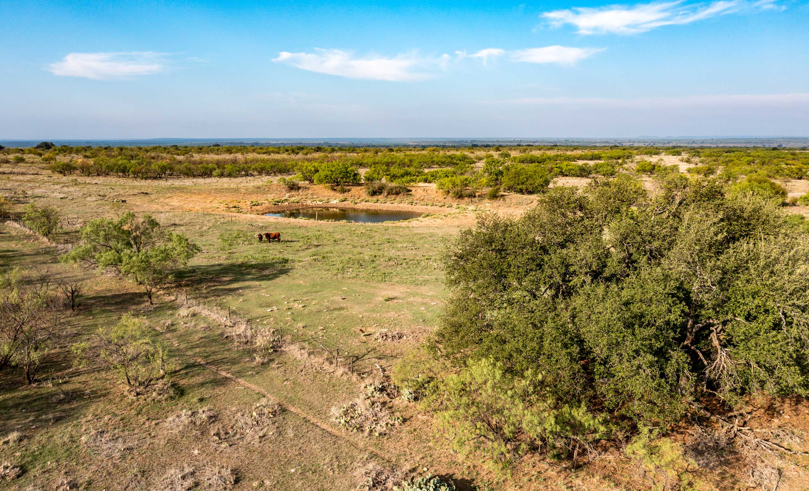 Silverbrook-Pecan Bayou Ranch archival photograph 36