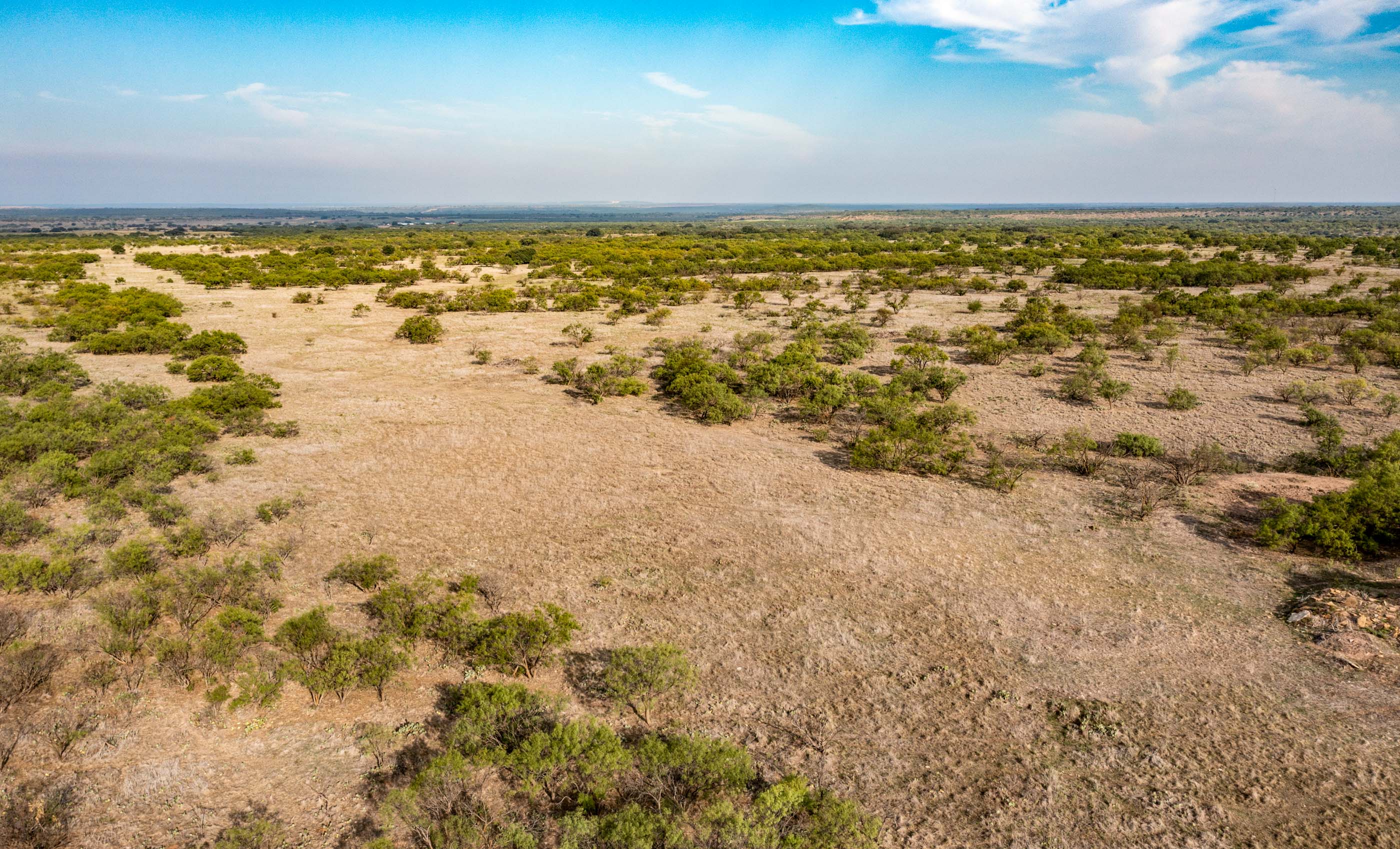 Silverbrook-Pecan Bayou Ranch archival photograph 6