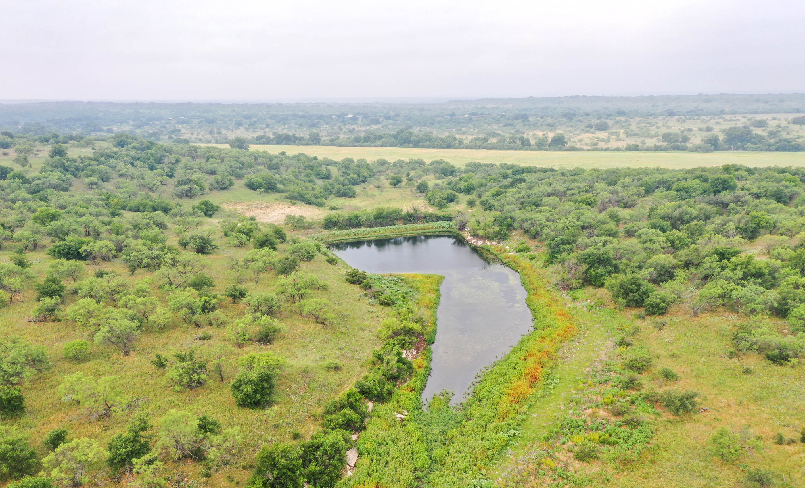 Silverbrook-Pecan Bayou Ranch archival photograph 61