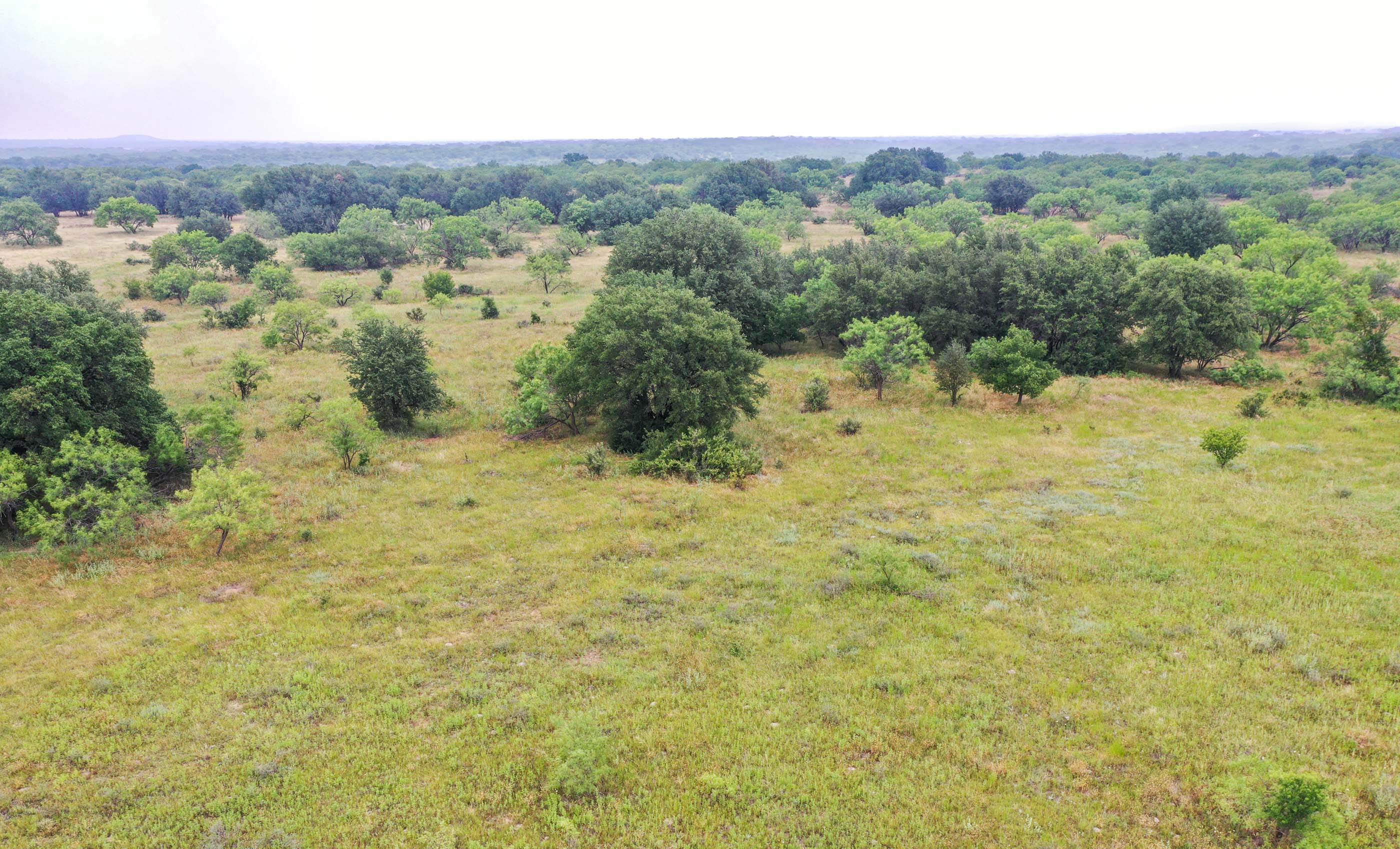 Silverbrook-Pecan Bayou Ranch archival photograph 62