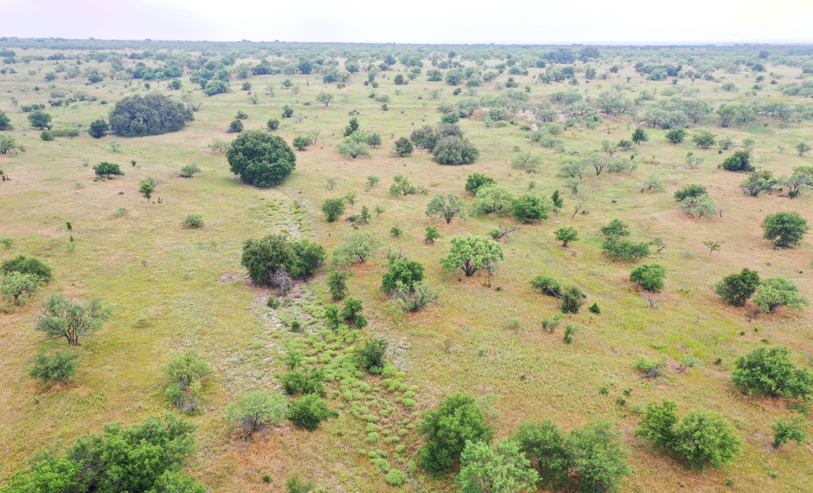 Silverbrook-Pecan Bayou Ranch archival photograph 57