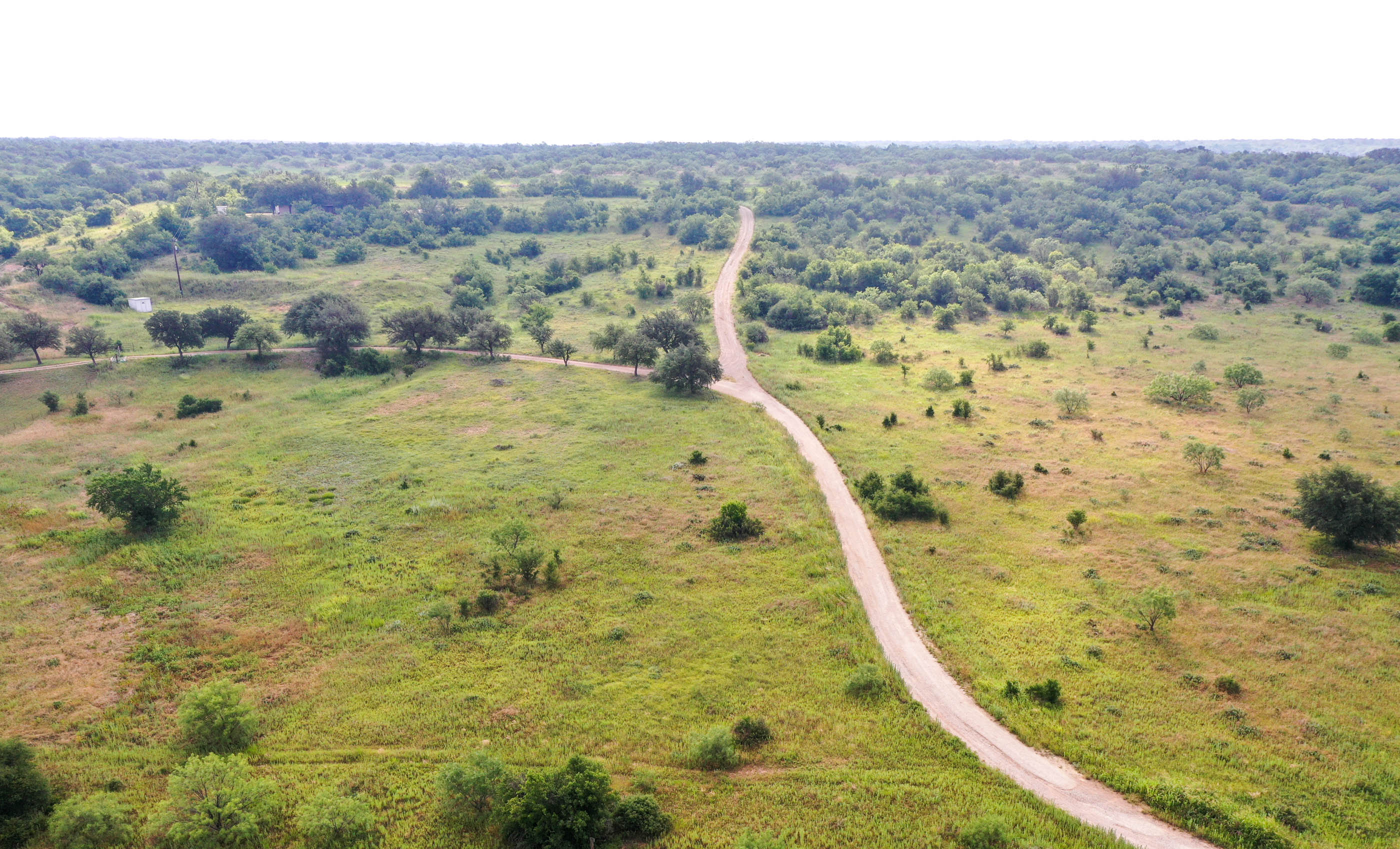 Silverbrook-Pecan Bayou Ranch archival photograph 53