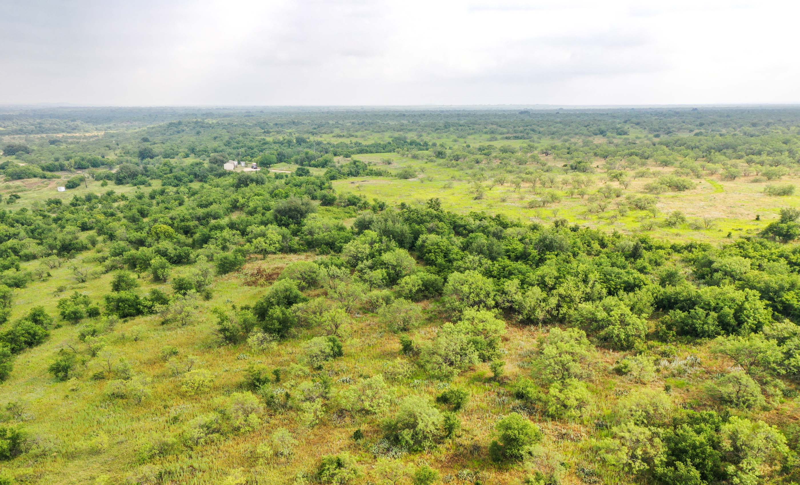 Silverbrook-Pecan Bayou Ranch archival photograph 51