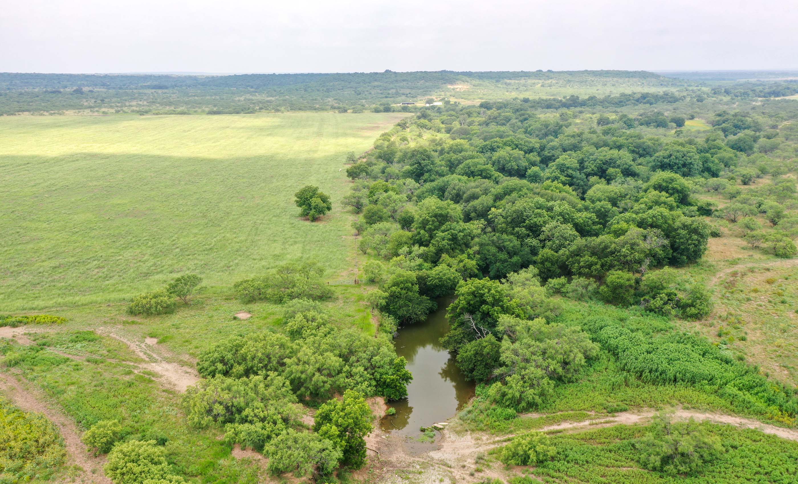 Silverbrook-Pecan Bayou Ranch archival photograph 49