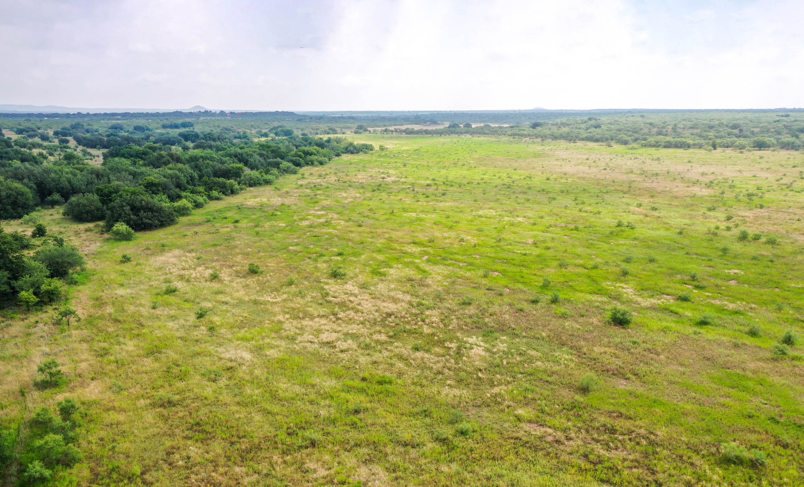 Silverbrook-Pecan Bayou Ranch archival photograph 46
