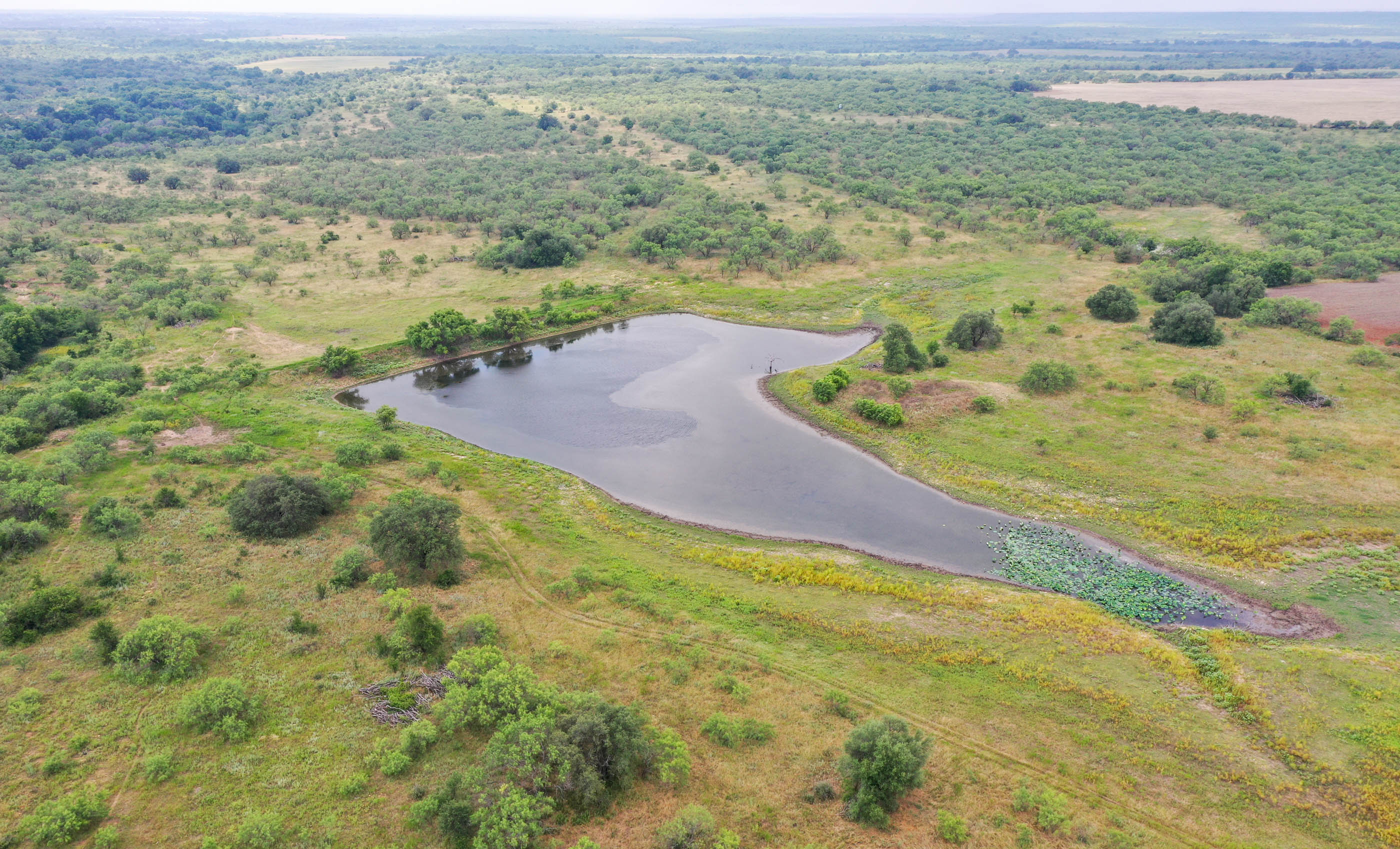 Silverbrook-Pecan Bayou Ranch archival photograph 45