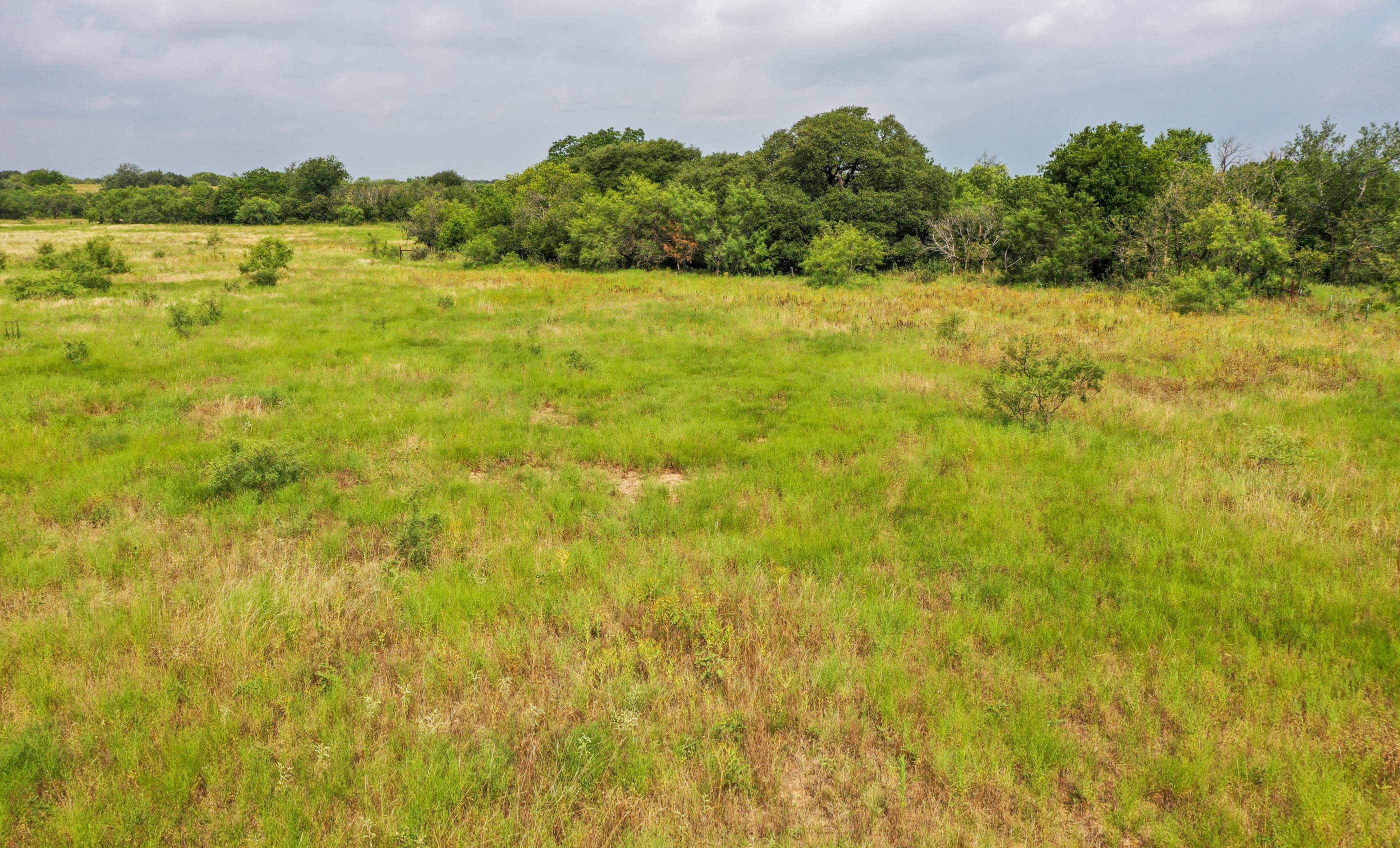 Silverbrook-Pecan Bayou Ranch archival photograph 44