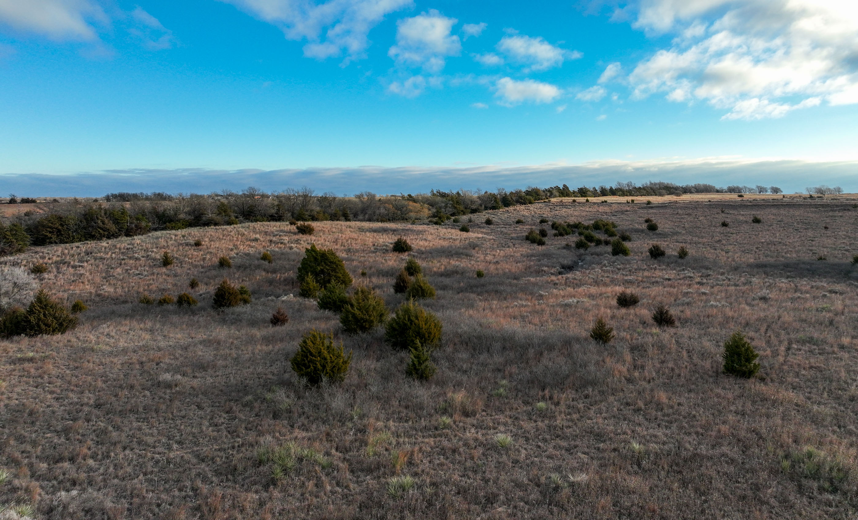 Turley Ranch archival photograph 16