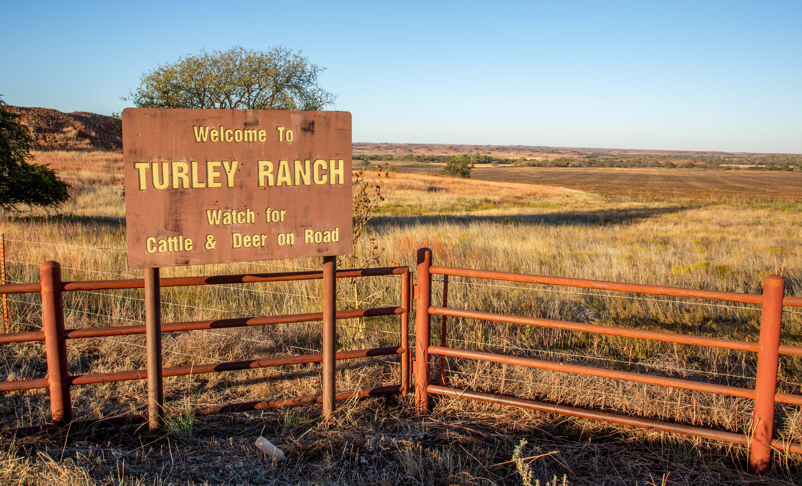Turley Ranch archival photograph