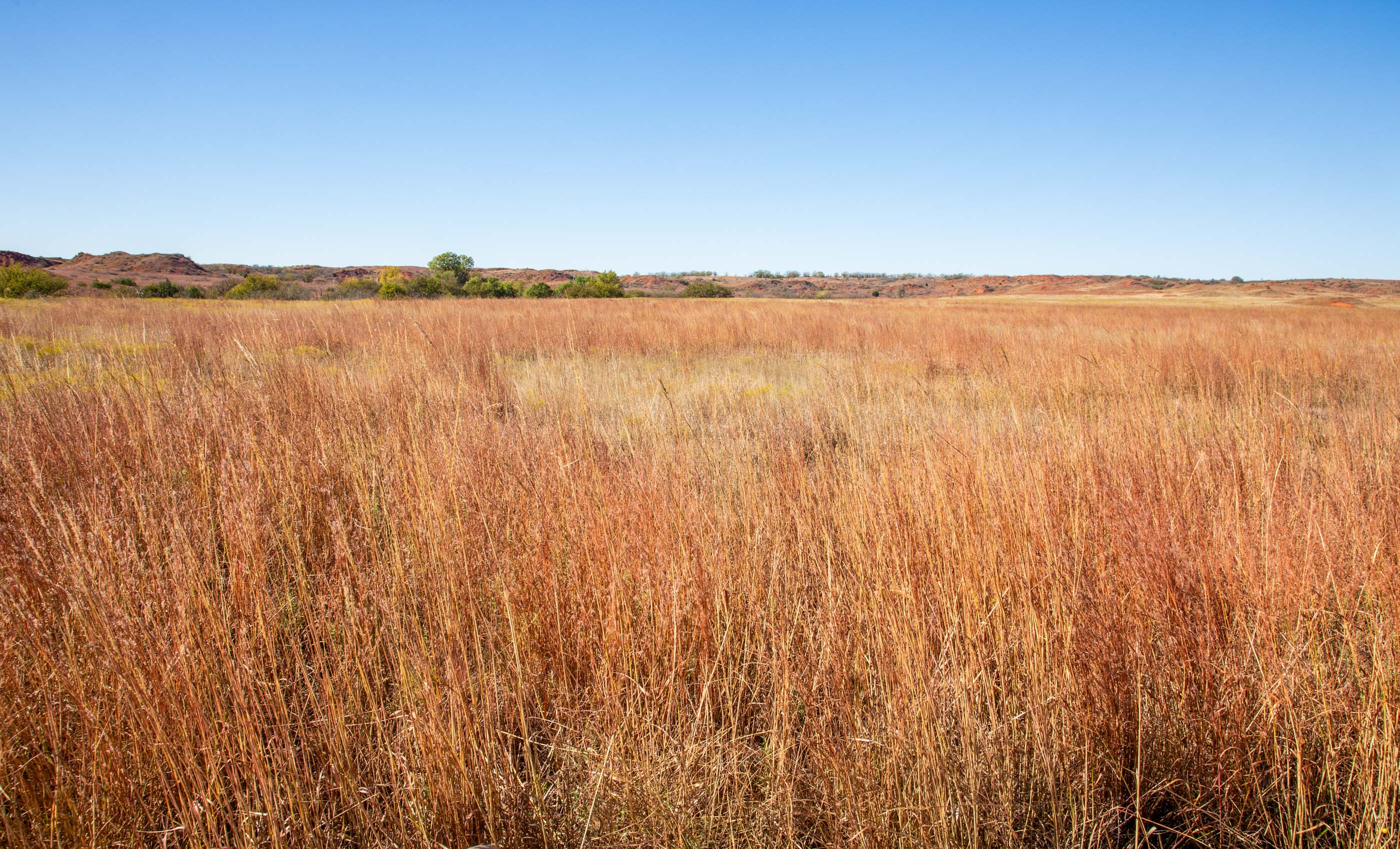 Turley Ranch archival photograph 11