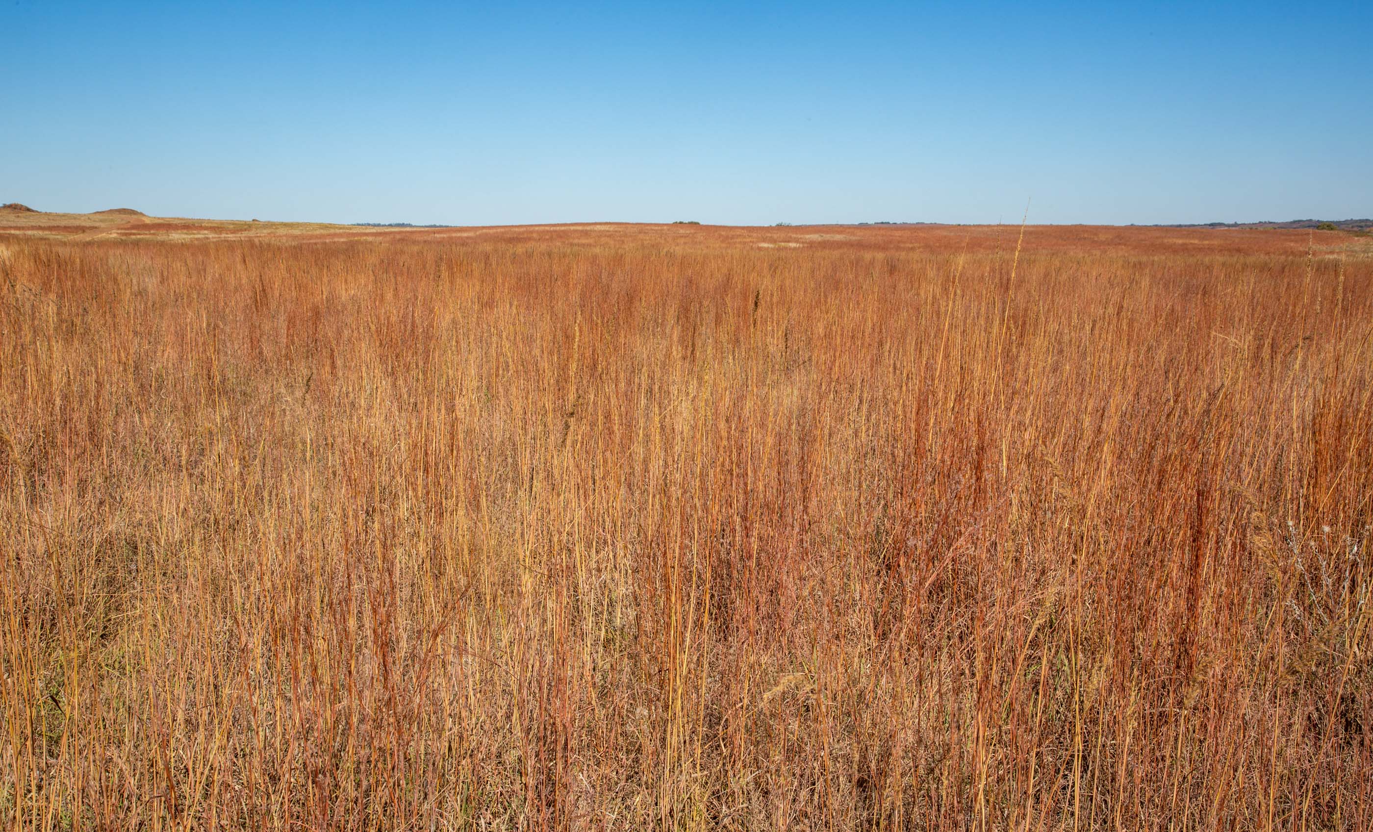 Turley Ranch archival photograph 10