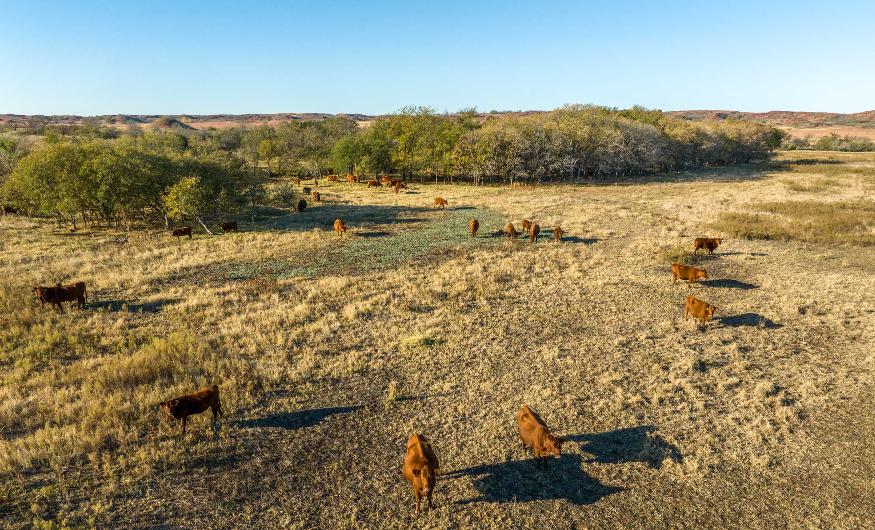 Turley Ranch archival photograph 22
