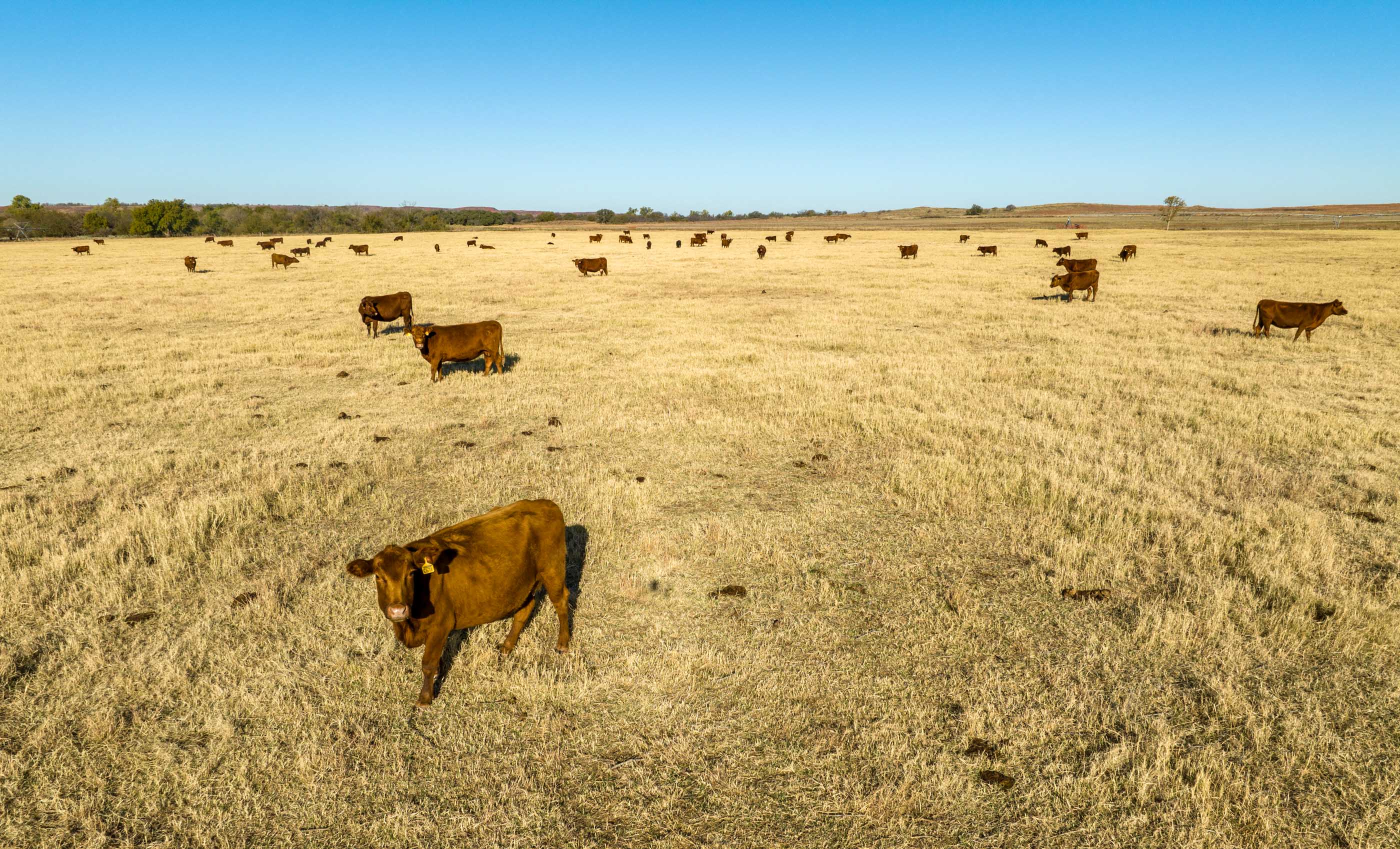 Turley Ranch archival photograph 29
